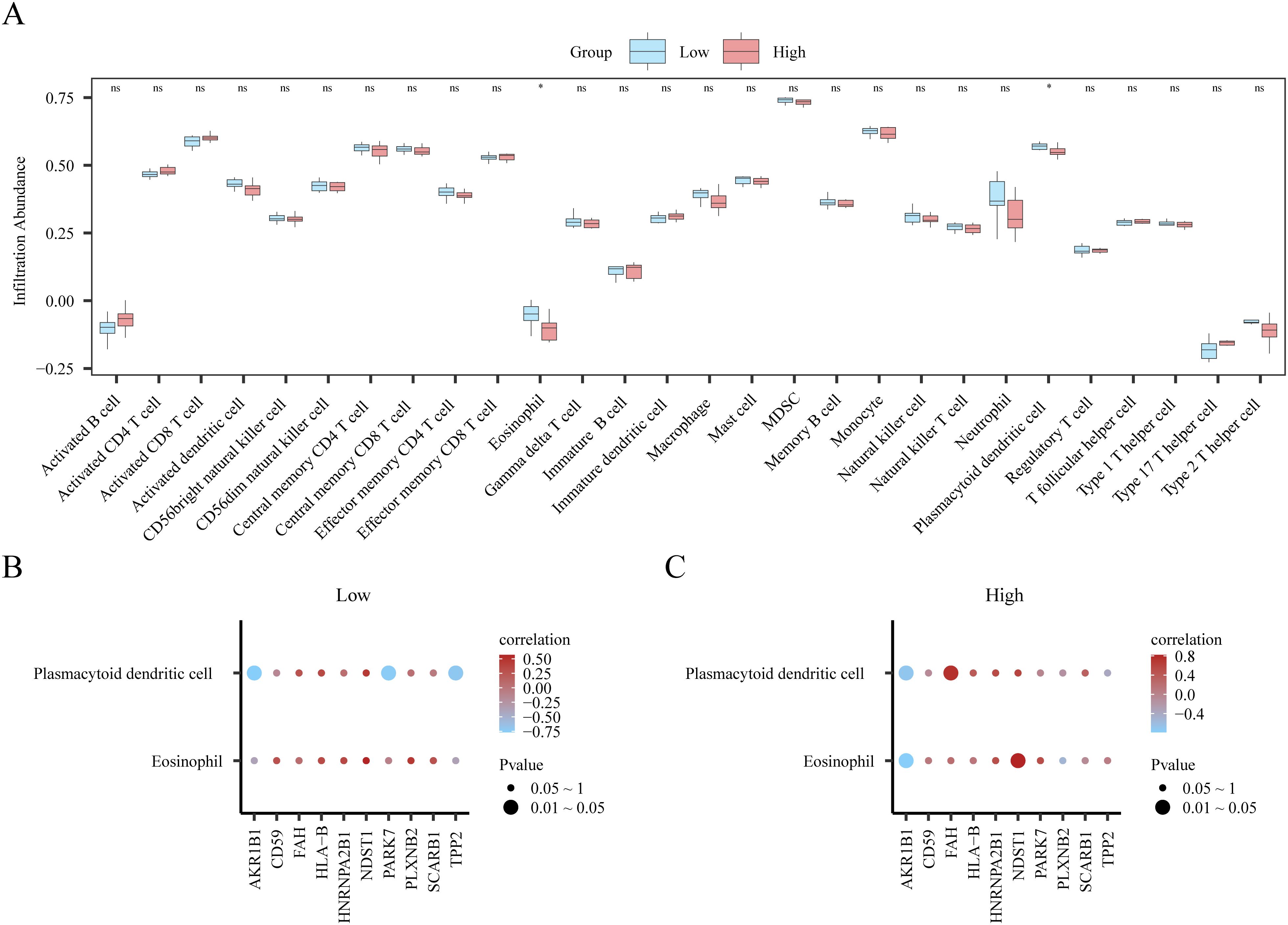 Panel A shows a boxplot comparing infiltration abundance of various immune cells between low and high groups. Significant differences are marked with an asterisk. Panels B and C display dot plots for low and high groups, respectively, showing correlation of genes with plasmacytoid dendritic cells and eosinophils. Color and size of the dots indicate correlation strength and p-value.