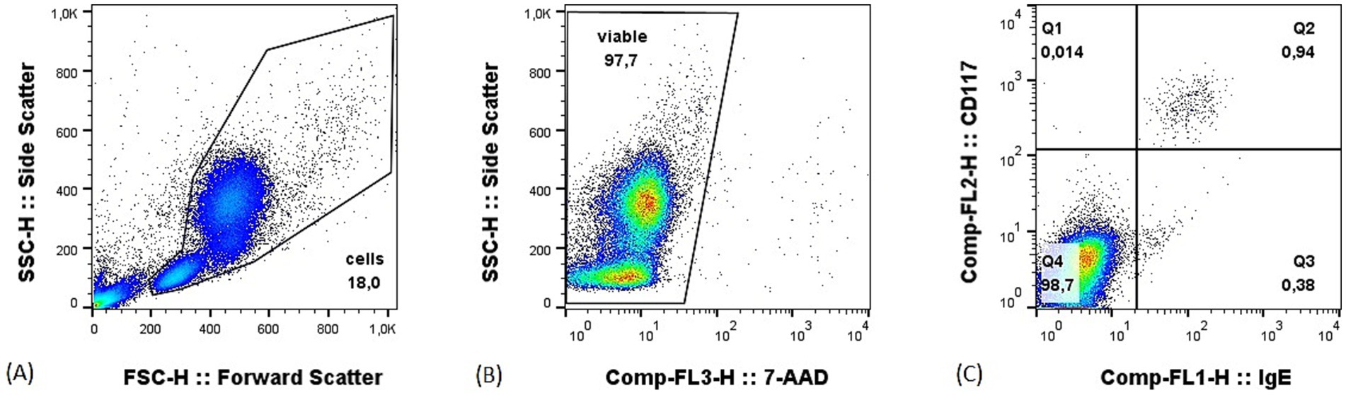 Flow cytometry data with three scatter plots. (A) Side scatter versus forward scatter, showing cell distribution. (B) Side scatter versus 7-AAD, indicating 97.7% viable cells. (C) CD117 versus IgE, with mast cells clustered in Q2.