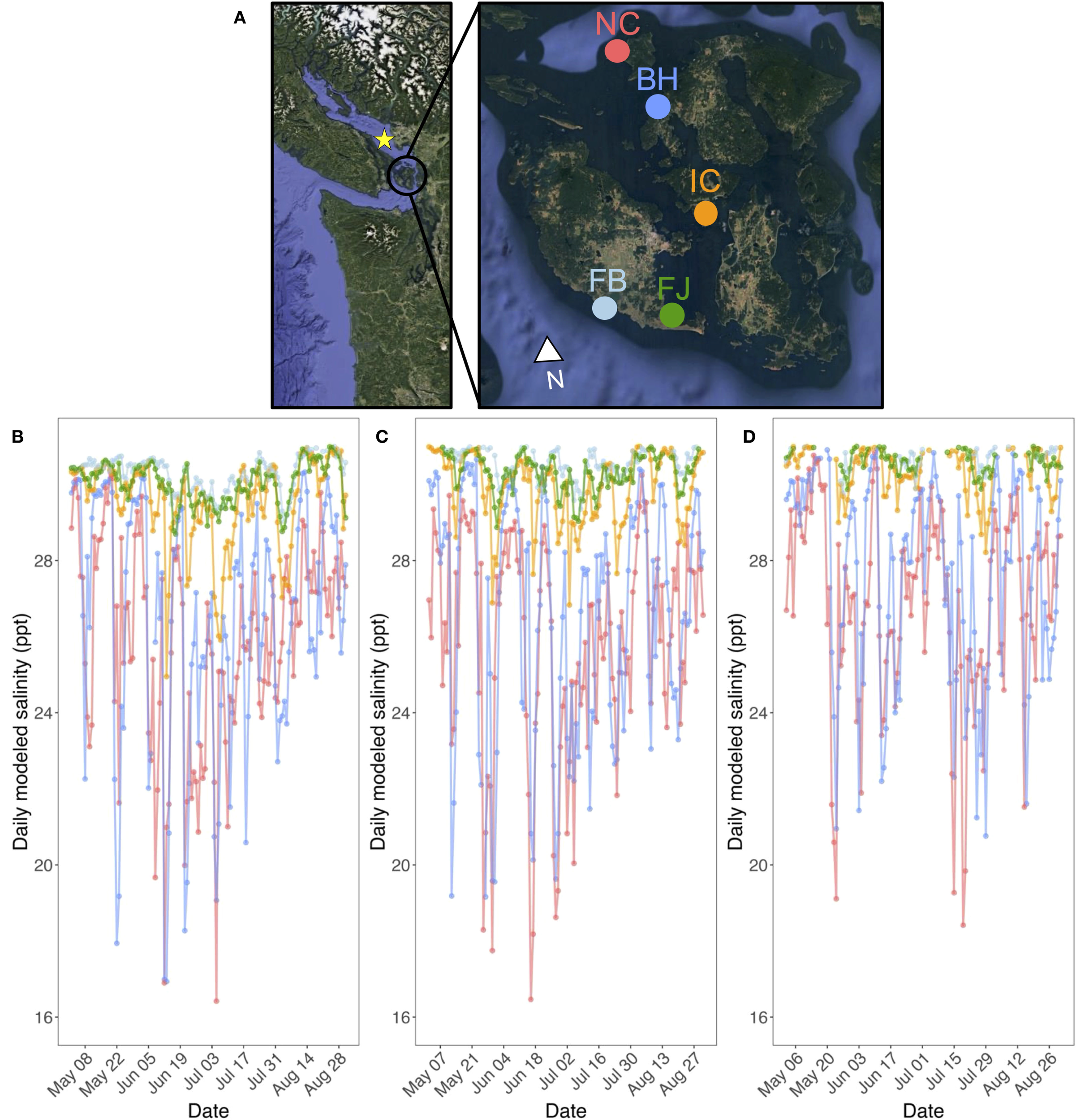 Map showing a region with labeled points NC, BH, IC, FB, and FJ, indicating specific locations. Three line graphs (B, C, D) display daily modeled salinity in parts per thousand from May to August, with fluctuations between twenty-four and twenty-eight parts per thousand. Dates are on the x-axis, and salinity is on the y-axis, depicting varying patterns across the graphs.