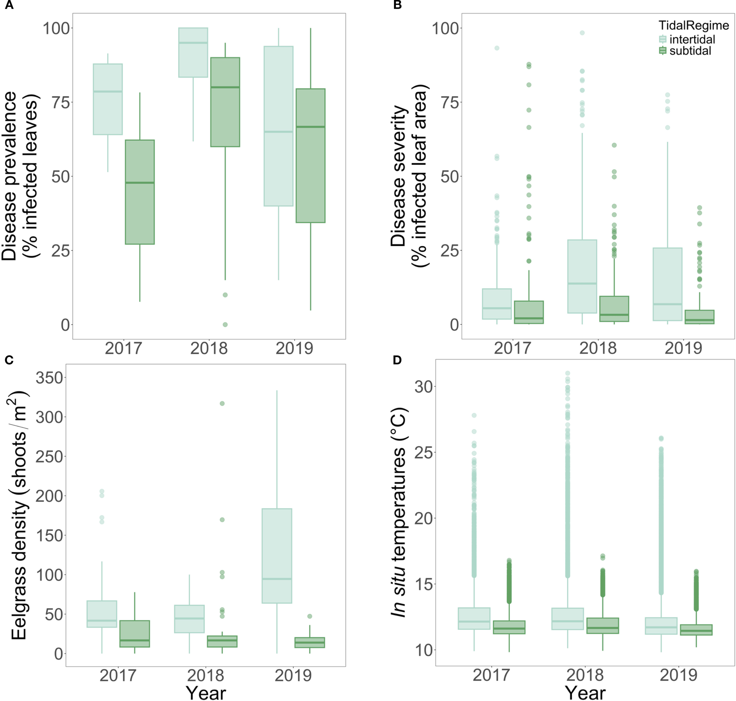 Four box plots display data from 2017 to 2019, comparing intertidal and subtidal regimes. Chart A shows disease prevalence, B shows disease severity, C shows eelgrass density, and D shows in situ temperatures. Each plot uses different shades for the two regimes.