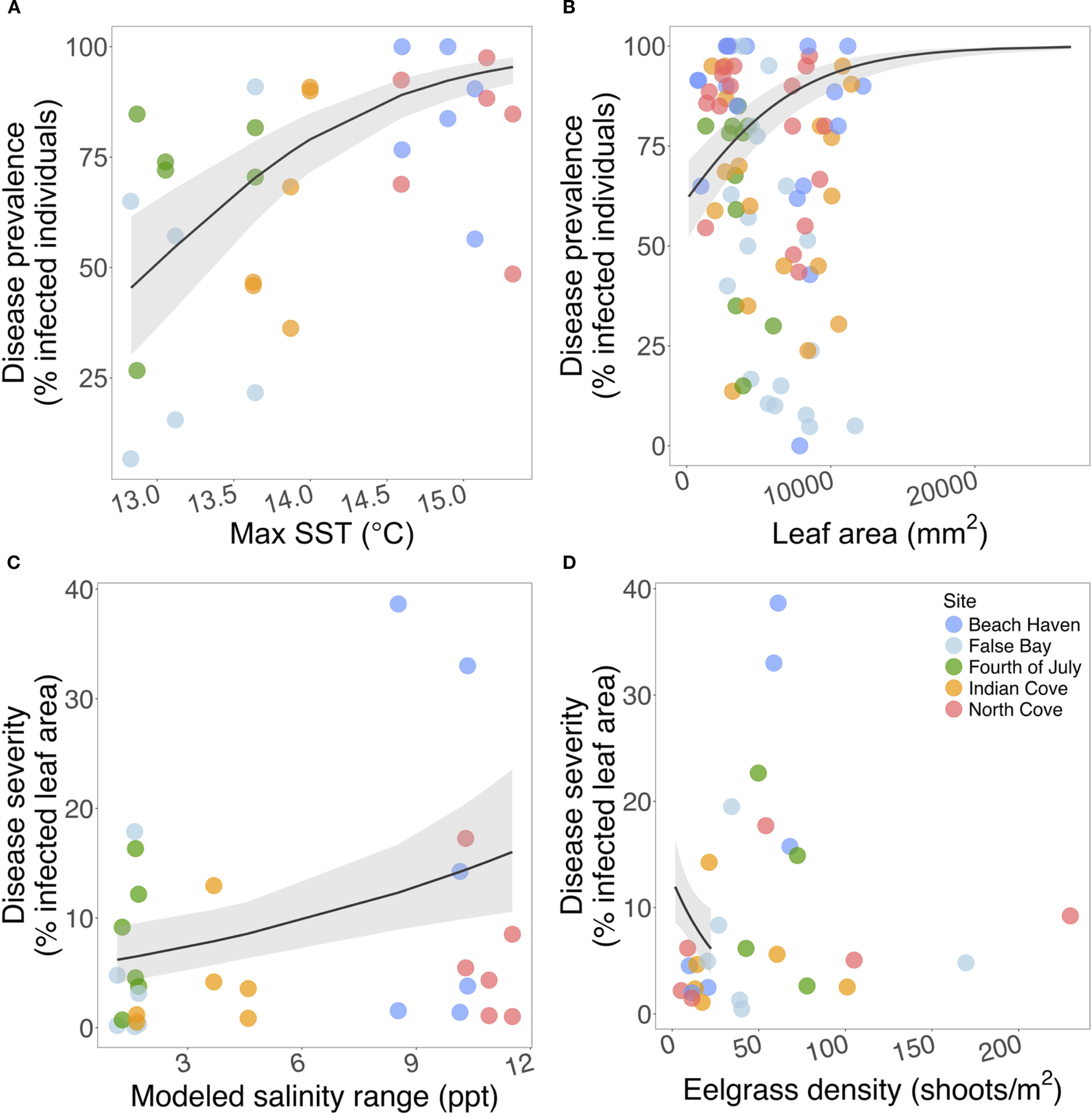 Four scatter plots examining environmental factors and disease metrics in eelgrass across different sites, denoted by color. Plot A shows disease prevalence increasing with maximum sea surface temperature. Plot B shows a positive correlation between disease prevalence and leaf area. Plot C indicates a positive correlation between disease severity and salinity range. Plot D shows slight inverse association between disease severity and eelgrass density. Data points vary in color, representing sites: Beach Haven, False Bay, Fourth of July, Indian Cove, and North Cove. Trend lines with gray confidence intervals are included in each plot.