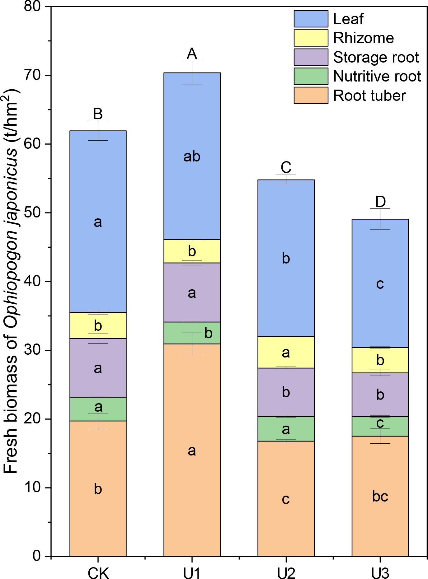 Stacked bar chart displaying fresh biomass of Ophiopogon japonicus in tons per hectare across four treatments: CK, U1, U2, and U3. Each bar is divided into five sections representing leaf, rhizome, storage root, nutritive root, and root tuber biomass. U1 has the highest biomass, while U3 has the lowest. Different letters indicate statistical differences between treatments. A color legend is provided for the biomass sections.