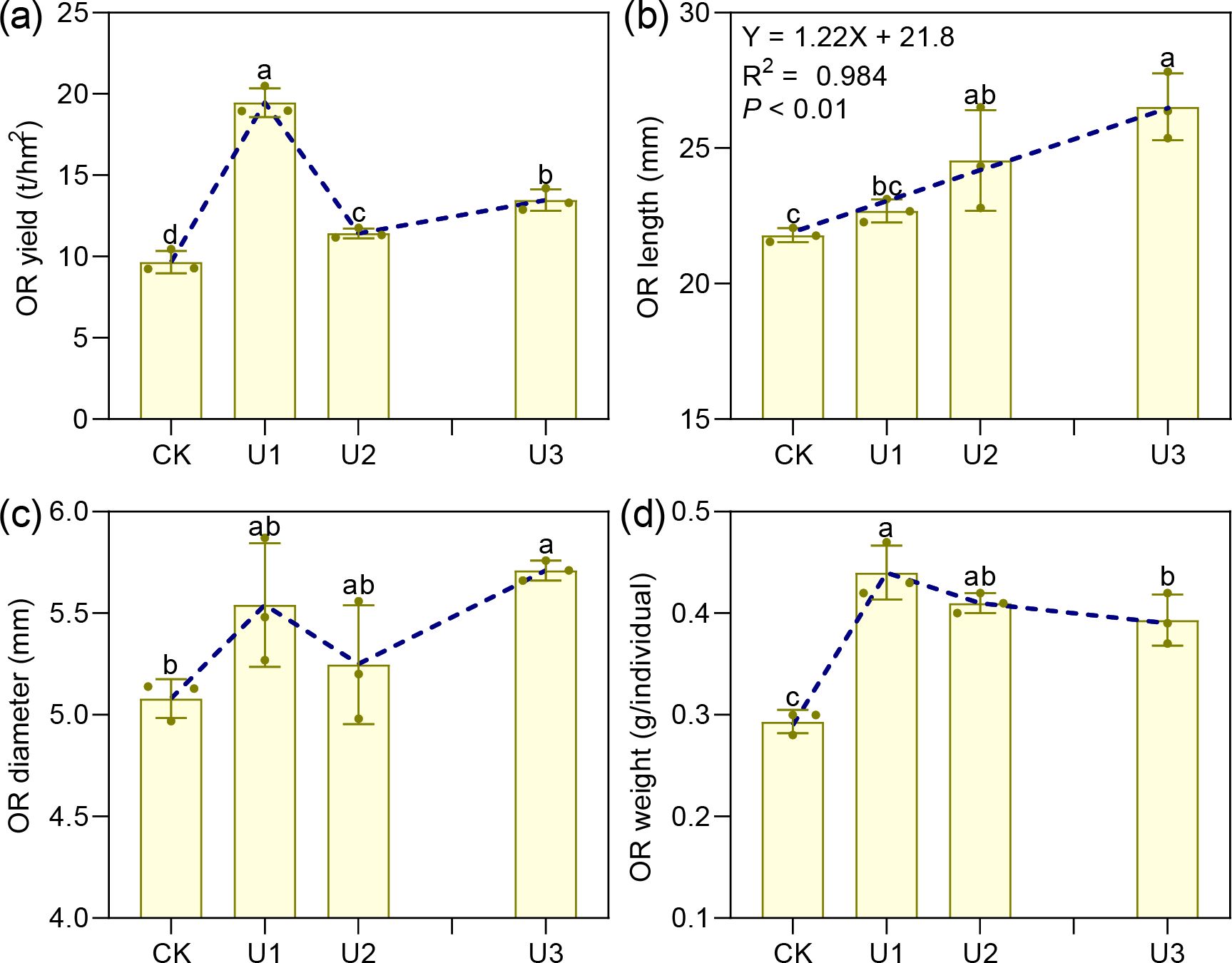 Four-panel bar and line graphs comparing OR yield, length, diameter, and weight for CK, U1, U2, and U3. Panel (a) shows OR yield peaking at U1. Panel (b) displays OR length increasing from CK to U3, with a significant trend noted. Panel (c) indicates OR diameter peaking at U3. Panel (d) illustrates OR weight, highest at U1 then slightly declining. Statistical annotations are provided above each bar.