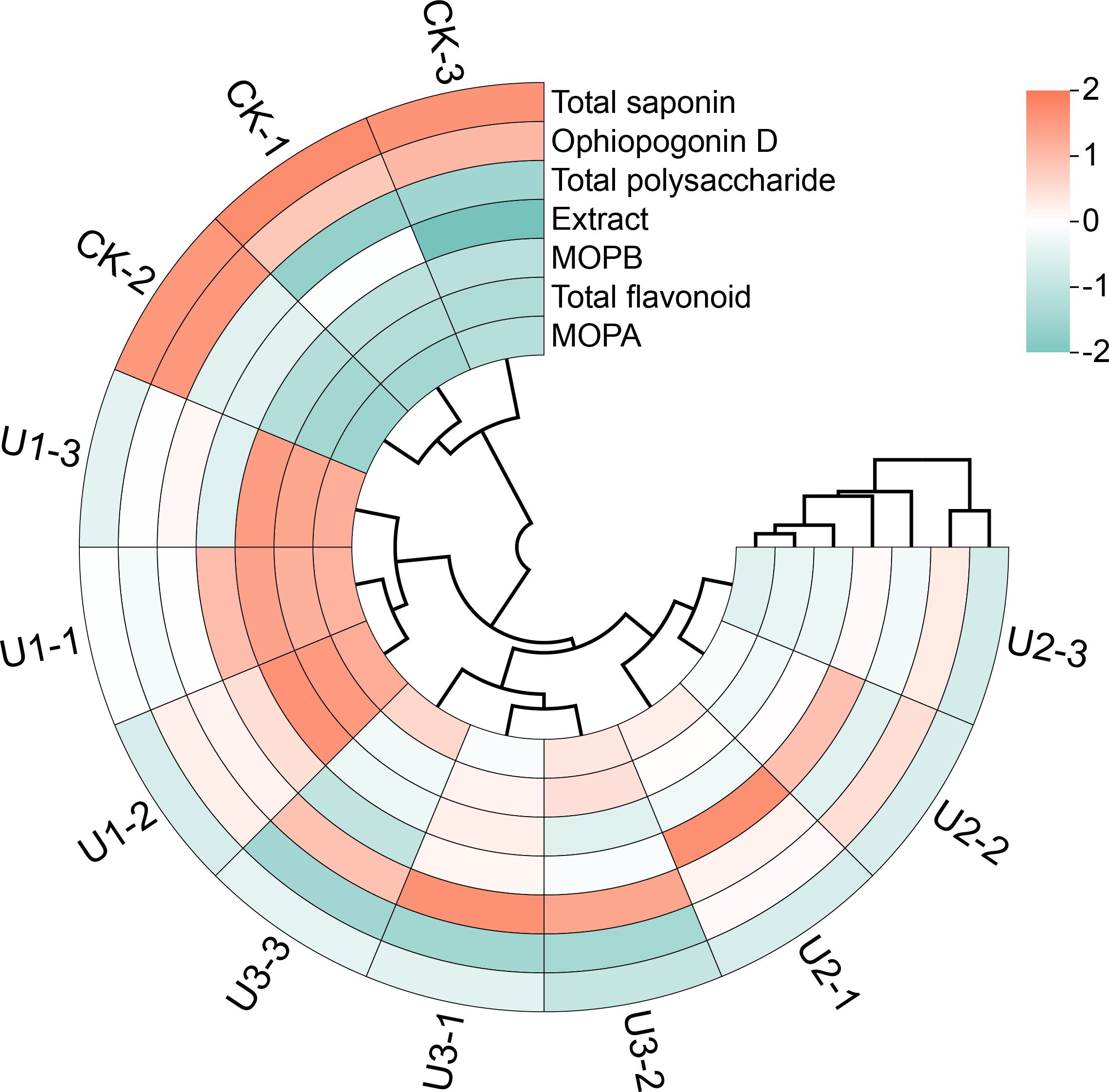 Circular heatmap displaying the hierarchical clustering of CK and U samples based on various compounds: Total saponin, Ophiopogonin D, Total polysaccharide, Extract, MOPB, Total flavonoid, and MOPA. Color gradient ranges from red for positive values to green for negative values, indicating relative compound levels.
