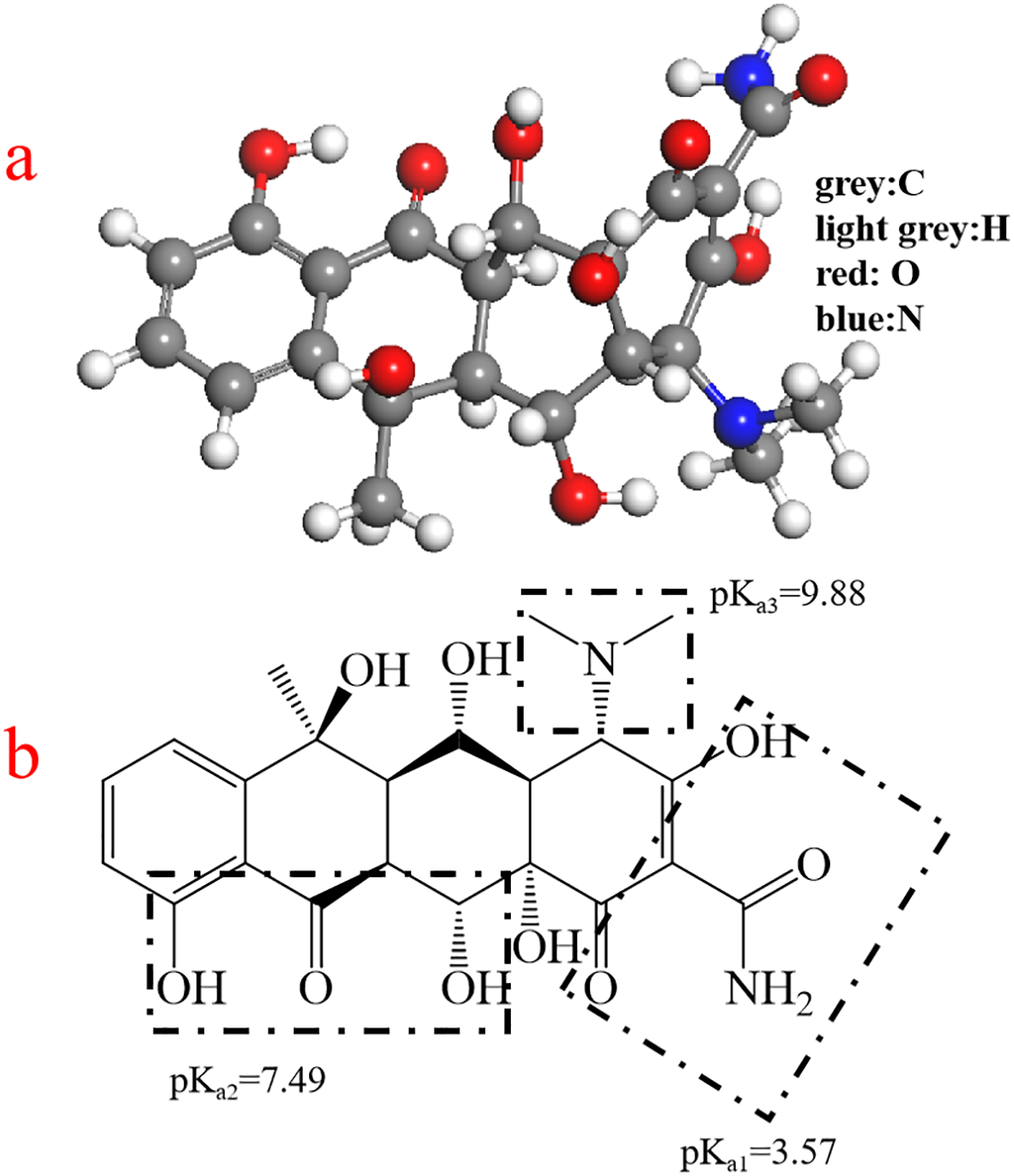 Molecular depiction of a compound in two forms: a) a ball-and-stick model showing atoms colored grey for carbon, light grey for hydrogen, red for oxygen, and blue for nitrogen; b) a chemical structure diagram with labeled pKa values of 9.88, 7.49, and 3.57.
