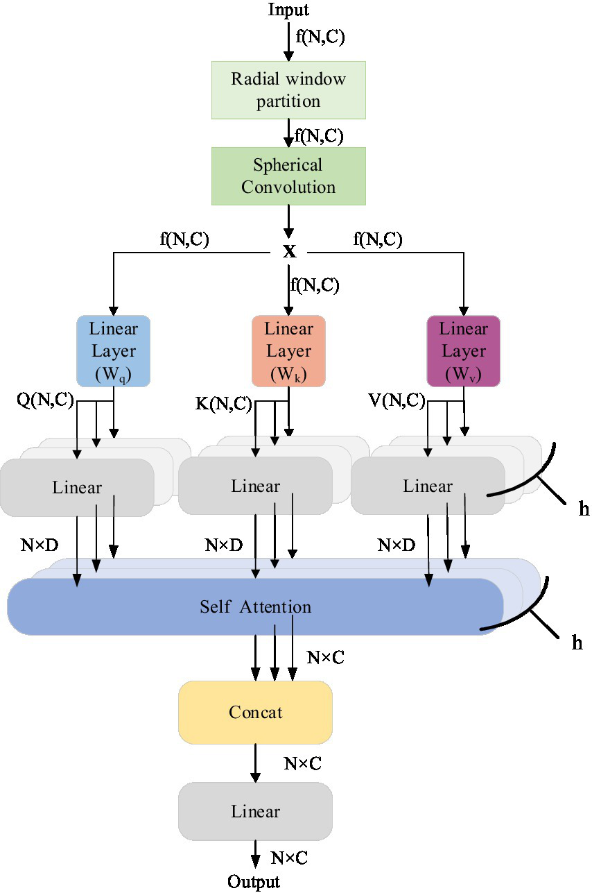 Flowchart illustrating a neural network architecture. It starts with an input labeled \(f(N,C)\), which passes through radial window partition and spherical convolution. The output feeds into three linear layers labeled \(Q(N,C)\), \(K(N,C)\), and \(V(N,C)\), each connected to a linear transformation. The outputs, \(N \times D\), are then processed by a self-attention layer. The results are concatenated and pass through another linear layer yielding the final output, \(N \times C\). Arrows depict data flow, and each component is color-coded.