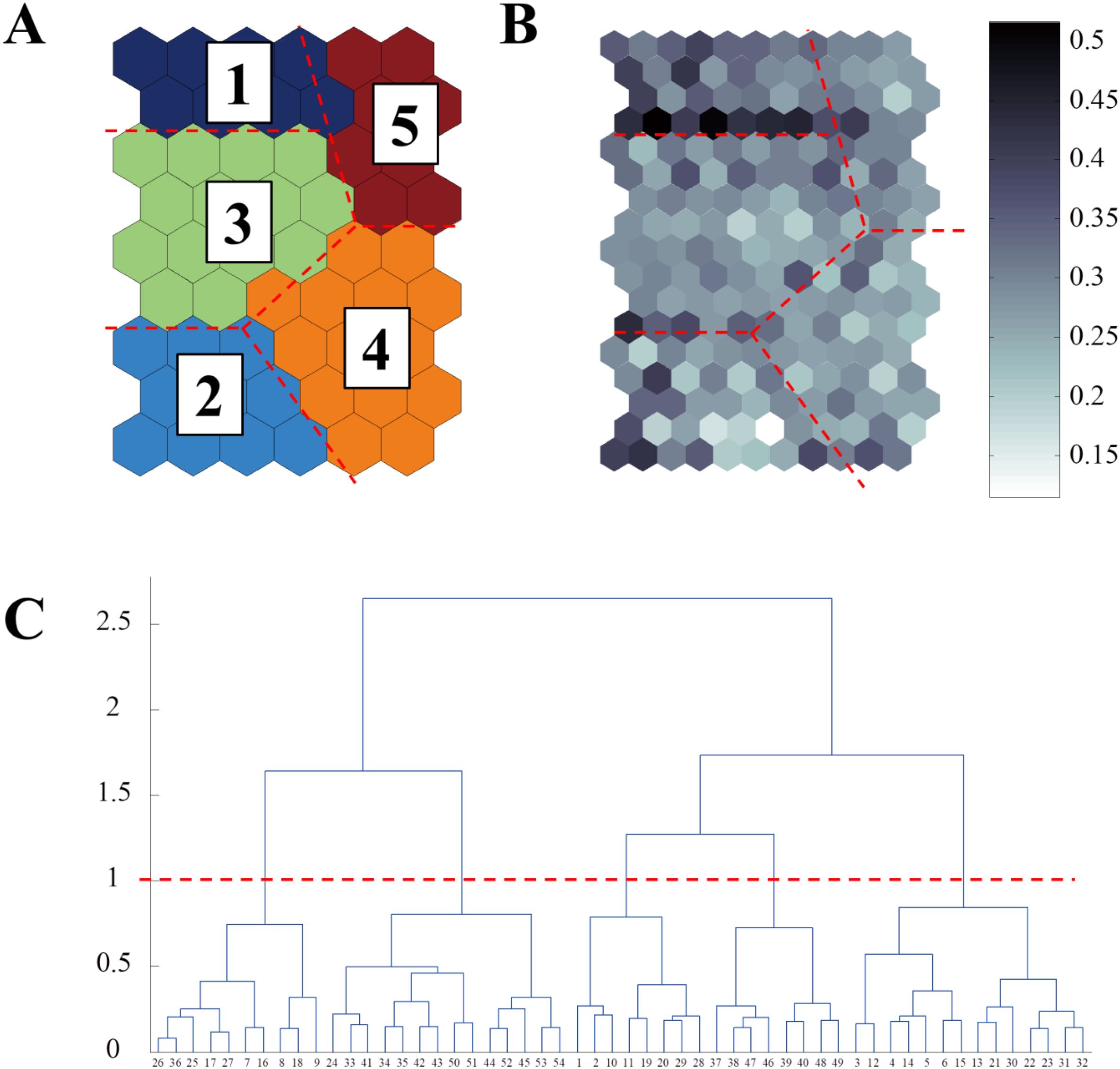 Panel A presents a color-coded hexagonal grid divided into five numbered segments with red dashed lines. Panel B shows another hexagonal grid with a gradient color scale from 0.15 to 0.5, also marked by red dashed lines. Panel C is a dendrogram with clusters and a red dashed threshold line at height 1.