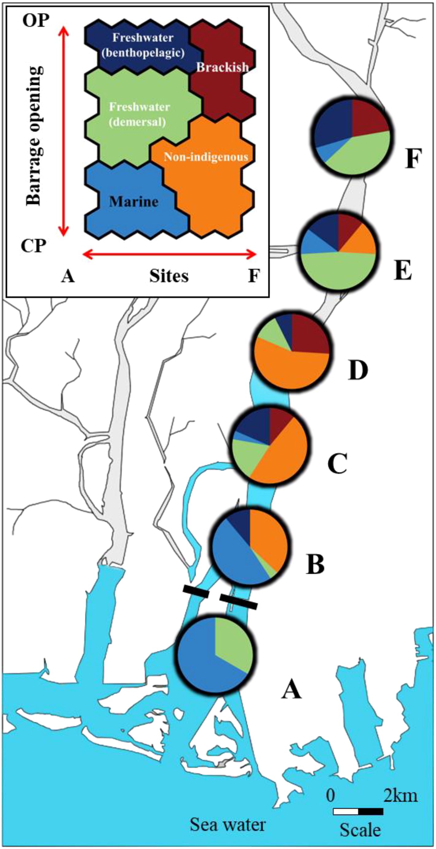 Map depicting six sites labeled A to F along a waterway, with pie charts showing proportions of aquatic biodiversity types: freshwater benthopelagic, freshwater demersal, marine, brackish, and non-indigenous species. An inset legend defines these categories. Scale included at the bottom.
