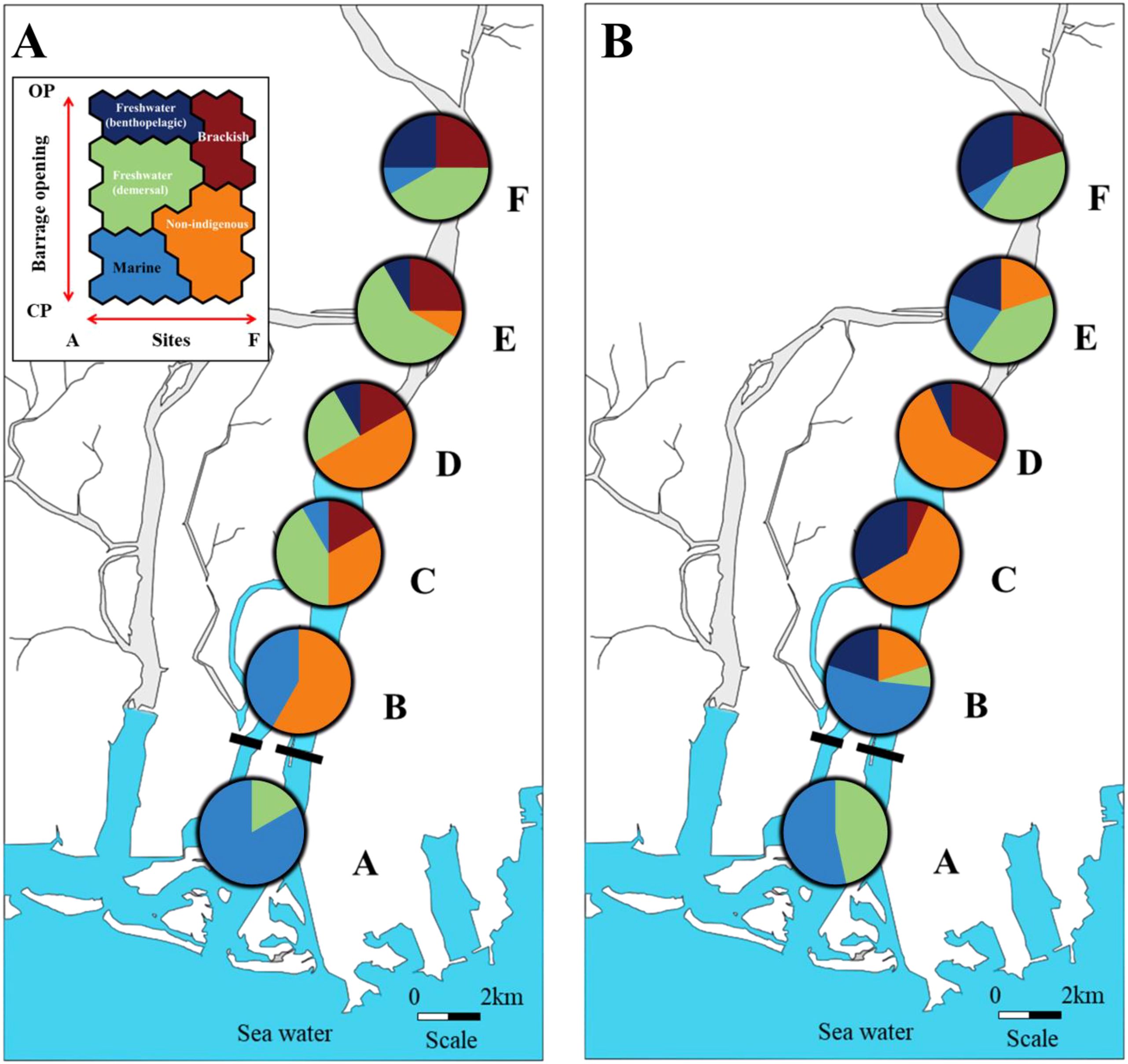 Comparison of two maps labeled A and B, each displaying pie charts along a river. The pie charts represent the distribution of freshwater, brackish, marine, and non-indigenous species across six sites, labeled A to F. The inset legend explains the color coding: blue for marine, green for freshwater, orange for non-indigenous, dark blue for brackish, and red for freshwater benthopelagic. Both maps include sea water and a scale bar indicating two kilometers.