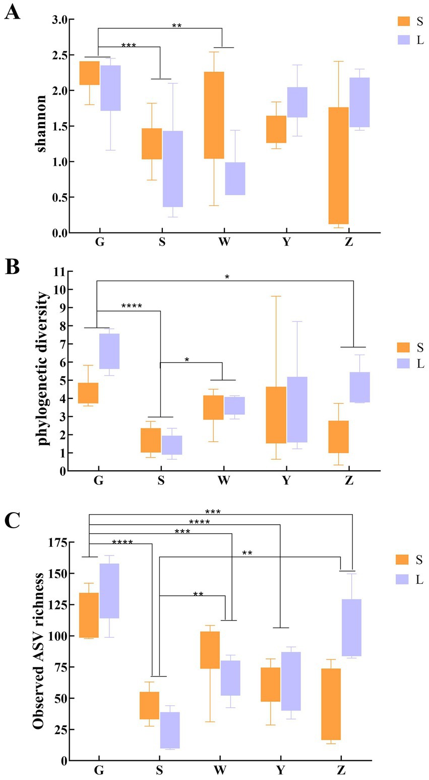 Box plots comparing different metrics across groups G, S, W, Y, and Z, with S in orange and L in purple. Panel A shows Shannon diversity; Panel B shows phylogenetic diversity; Panel C shows observed ASV richness. Significance levels are marked by asterisks (*, **, ***, ****) indicating differences between groups.