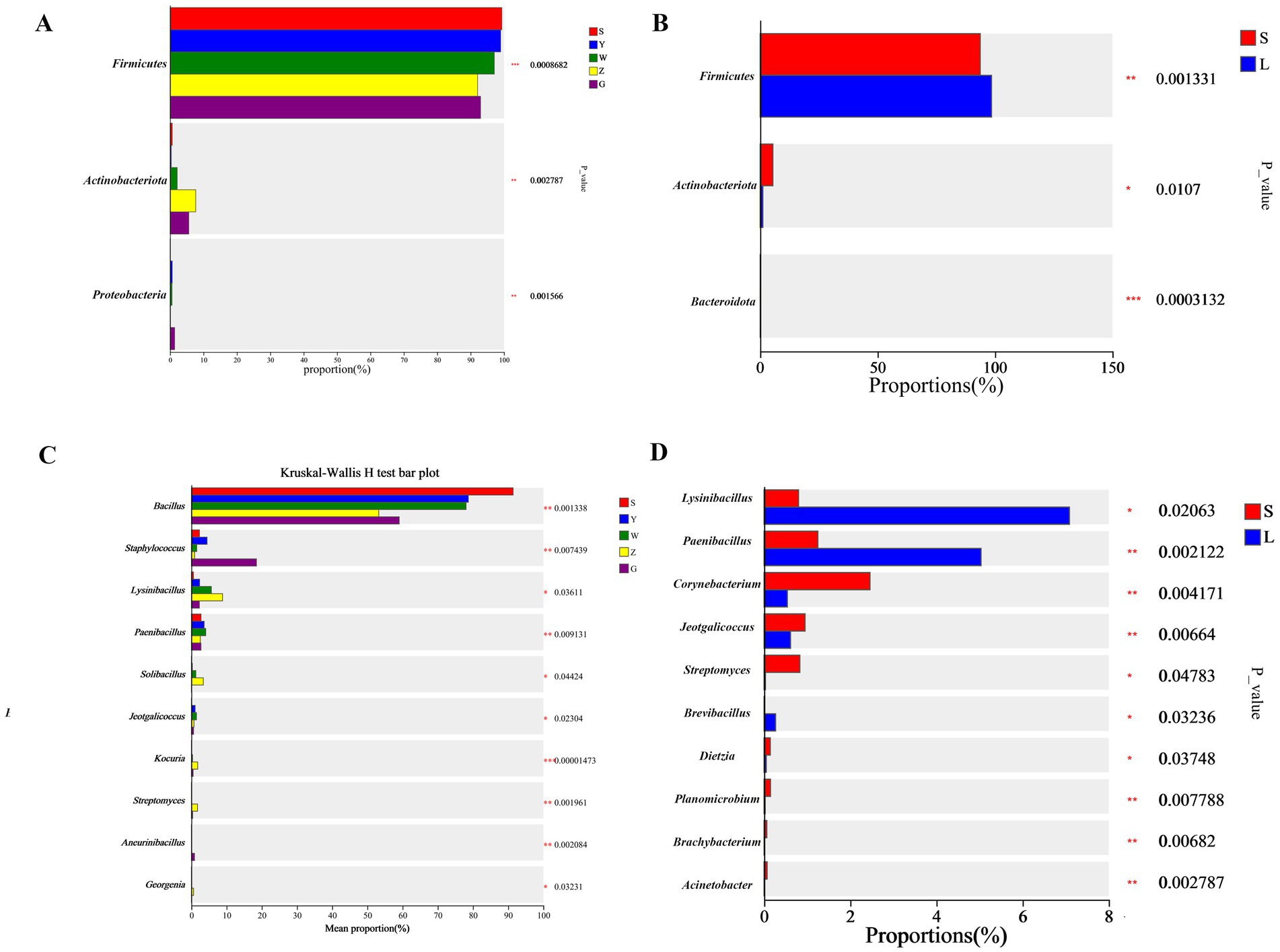 Four bar charts displaying proportions of different bacterial taxa, labeled A, B, C, and D. Chart A shows Firmicutes, Actinobacteriota, and Proteobacteria with various colored bars (S, Y, W, Z, G). Chart B illustrates Firmicutes, Actinobacteriota, and Bacteroidota with proportions for categories S and L. Chart C presents a Kruskal-Wallis H test for Bacillus, Staphylococcus, and others, with mean proportions for categories S, Y, W, Z, G. Chart D shows various bacteria with proportions for S and L, including Lysinibacillus and Paenibacillus. P-values are indicated for statistical significance.
