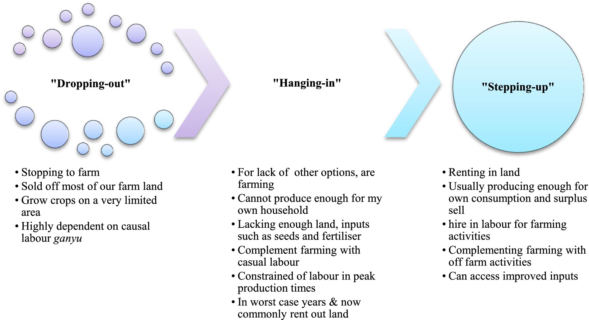 Flowchart illustrating three farming scenarios: “Dropping-out,” “Hanging-in,” and “Stepping-up.” “Dropping-out” involves stopping farming and selling land. “Hanging-in” denotes farming with limited resources. “Stepping-up” shows improvement by renting land, producing surplus, hiring labor, and accessing improved inputs.