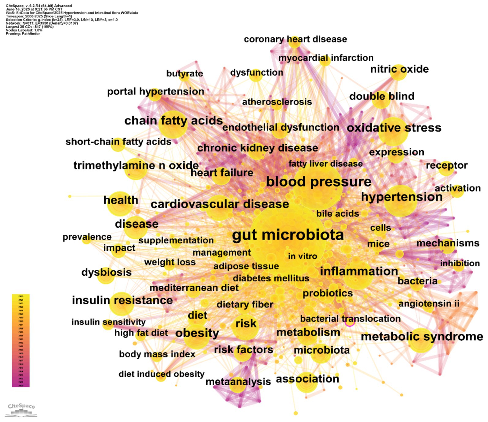 Network visualization of terms related to gut microbiota and health. Key terms include “gut microbiota,” “cardiovascular disease,” “inflammation,” “blood pressure,” and “metabolic syndrome” connected with colorful lines and nodes. A color gradient legend indicates data classification.