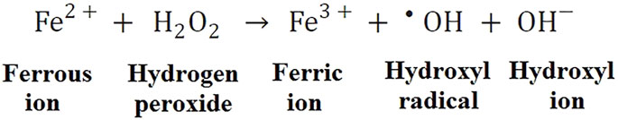 www.frontiersin.org