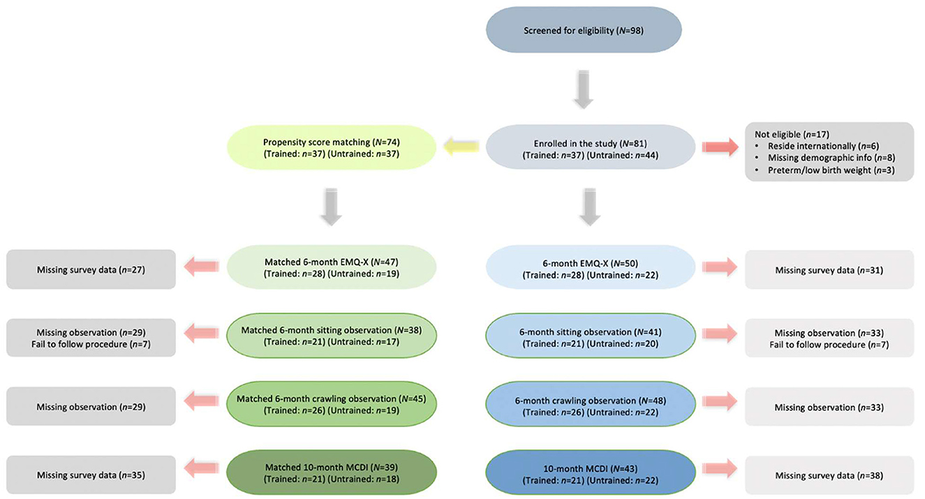Flowchart depicting a study's participant screening and data collection process. Initially, ninety-eight were screened; eighty-one enrolled, with seventeen excluded for reasons such as residency and missing information. Propensity score matching included seventy-four participants. Sequential data collection involved assessments at six and ten months, with observations divided into trained and untrained groups. Data issues included missing surveys and observations.