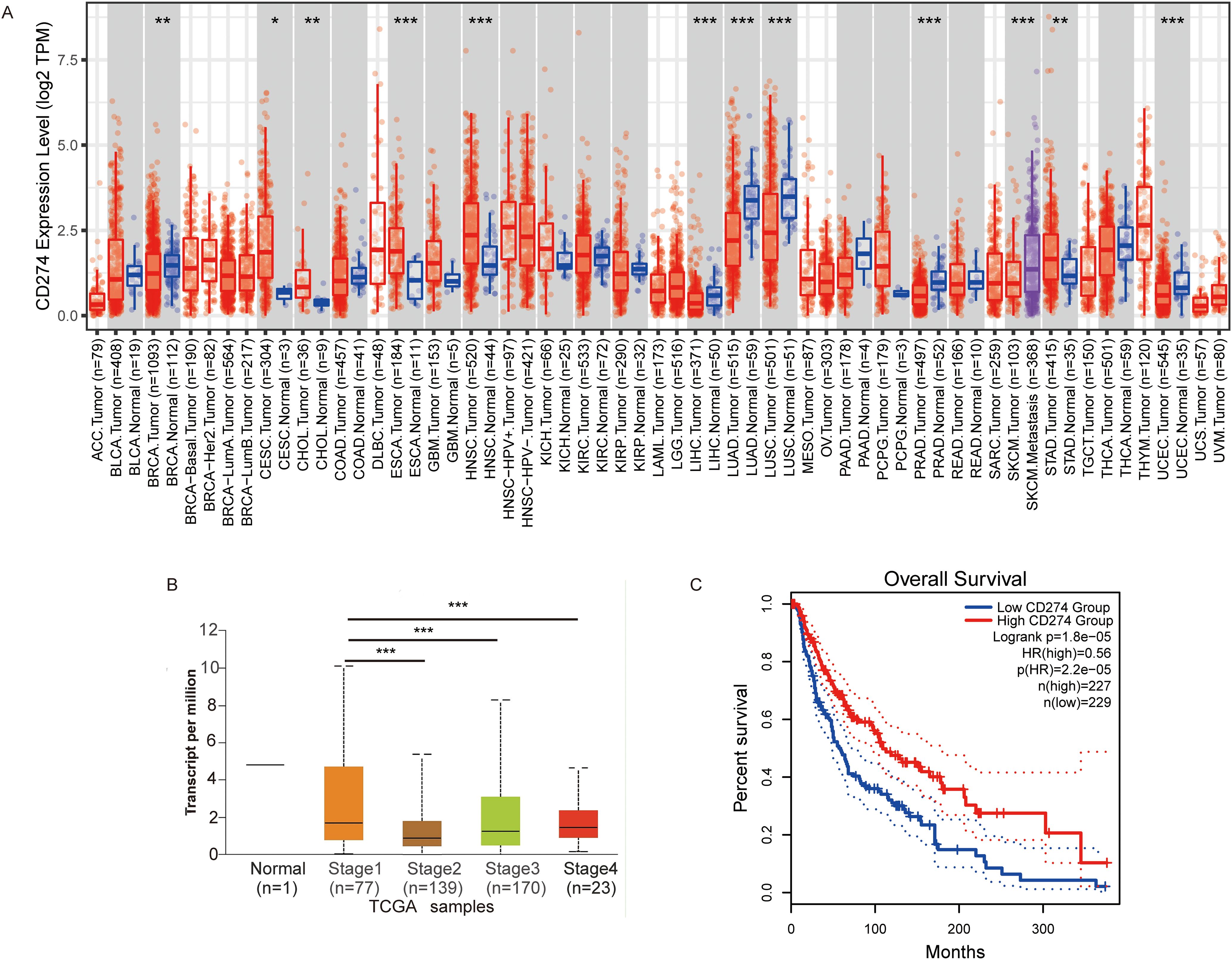 A composite image with three panels: Panel A is a box plot showing CD274 expression levels across various tumor and normal tissues, with significant differences marked by asterisks. Panel B is a box plot illustrating CD274 transcript levels across different cancer stages (Normal, Stage 1-4), with significant differences also marked by asterisks. Panel C is a Kaplan-Meier survival curve, comparing overall survival between low and high CD274 expression groups, with statistical details included.