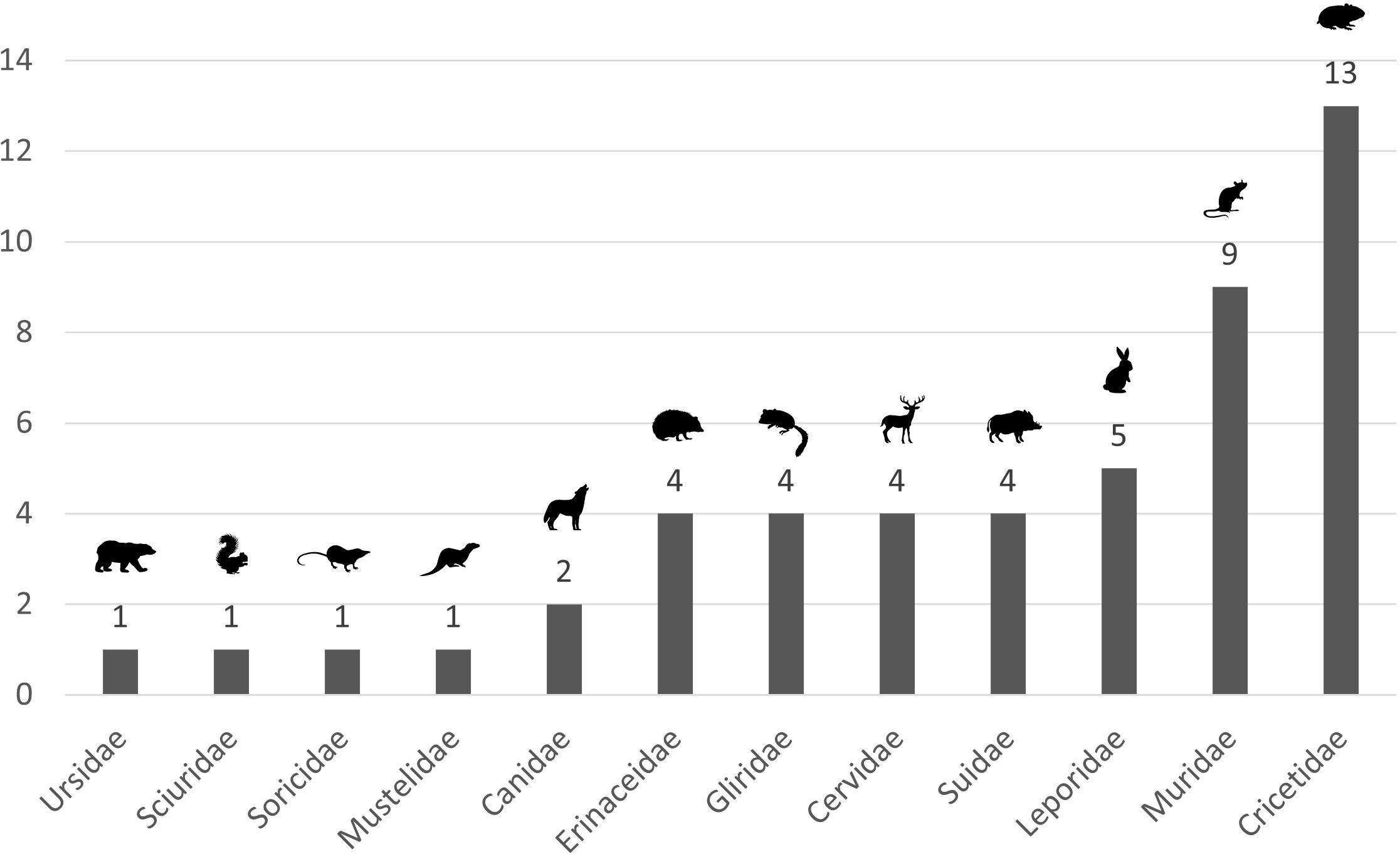 A bar graph presents the various mammalian families considered in the articles. Families include Ursidae (1), Sciuridae (1), Soricidae (1), Mustelidae (1), Canidae (2), Erinaceidae (4), Gliridae (4), Cervidae (4), Suidae (4), Leporidae (5), Muridae (9), and Cricetidae (13). Each family is represented by a bar, with heights indicating the number of individuals recorded. Illustrations of representative species accompany each family label, enhancing visual comprehension of the data. Notably, Cricetidae shows the highest abundance, while several families are equally represented at lower counts.