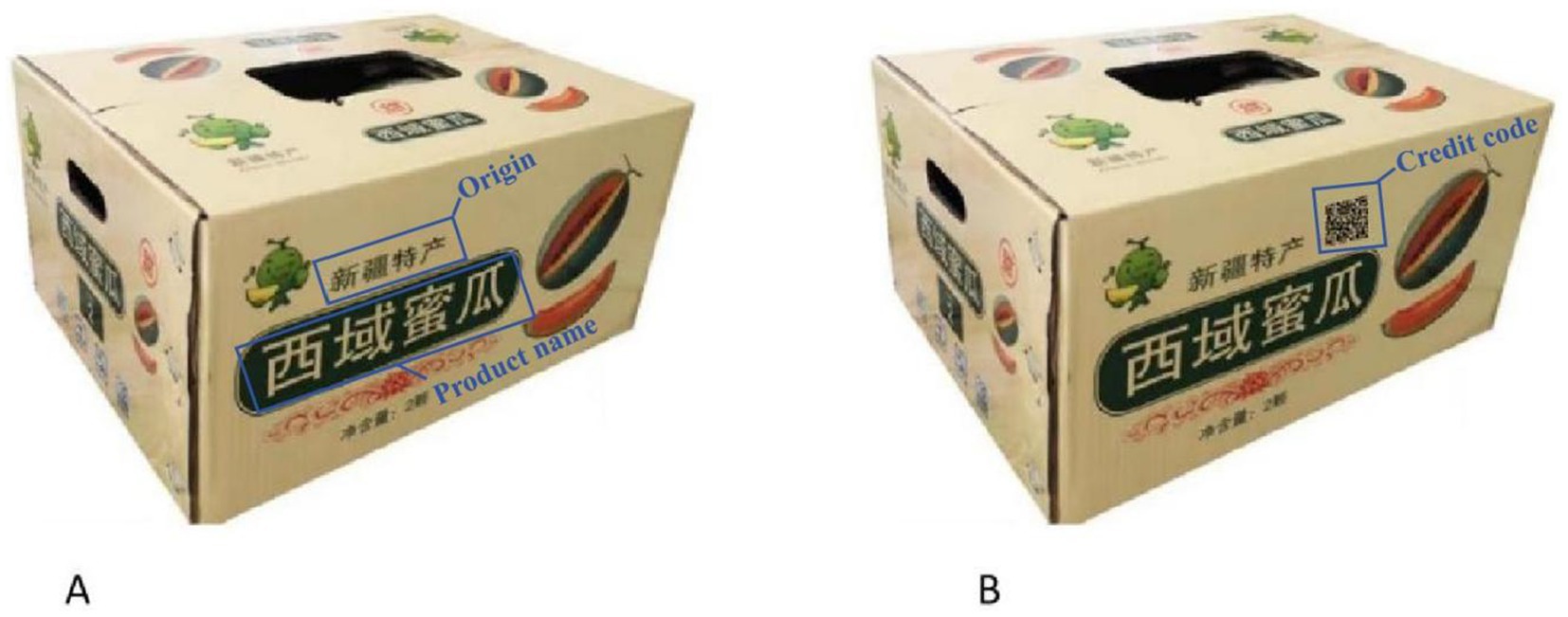 Cardboard packaging box with illustrations and text in a language other than English. The box features images of melons and a cartoon character. Labels indicate “Origin,” “Product name,” and “Credit code,” with a QR code visible. Two views are shown, labeled A and B.The notable difference between Packaging Box B and Packaging Box A is that Packaging Box B features a credit code.
