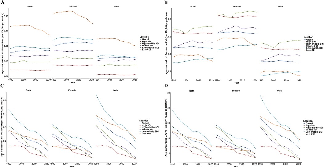 Four line graphs illustrating global health metrics from 1990 to 2020 by gender and socio-demographic index (SDI). Graph A shows age-standardized incidence rates. Graph B displays prevalence rates. Graph C presents mortality rates. Graph D indicates DALYs (disability-adjusted life years) rates. Each graph categorizes data for both genders, females, and males, with separate lines for global, high SDI, high-middle SDI, middle SDI, low-middle SDI, and low SDI regions.