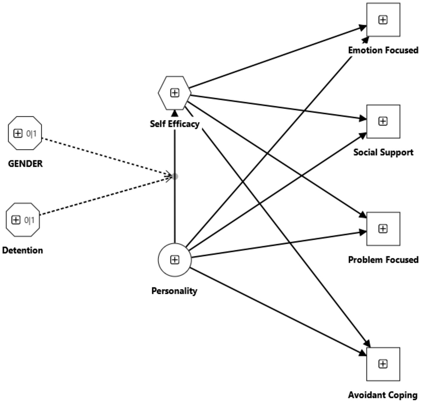 Diagram illustrating relationships between variables. Gender and Detention, represented by hexagons on the left, influence Self Efficacy and Personality, shown in a hexagon and circle, respectively. Solid arrows connect Personality to four outcomes: Emotion Focused, Social Support, Problem Focused, and Avoidant Coping, each in a square on the right. Dotted arrows indicate indirect influences from Gender and Detention to Self Efficacy.
