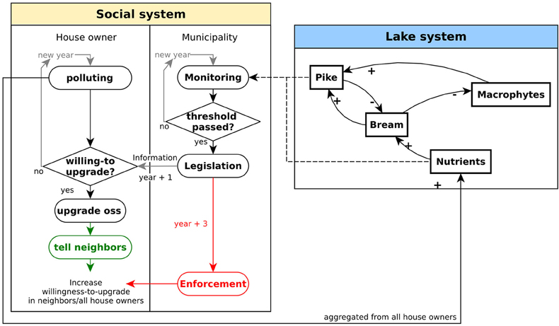 Ecosystem Dynamics Chart