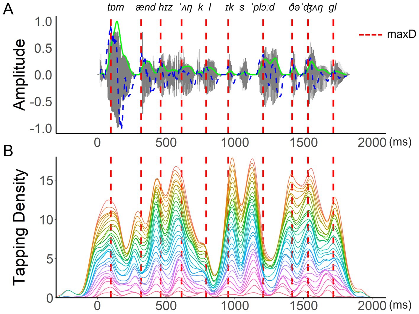 Graph showing two panels. Panel A displays an amplitude waveform with phonetic annotations over a two-thousand-millisecond period. Red dashed lines indicate maxD points. Panel B illustrates tapping density with colorful peaks corresponding to the amplitude graph above, also marked by red dashed lines at maxD points.