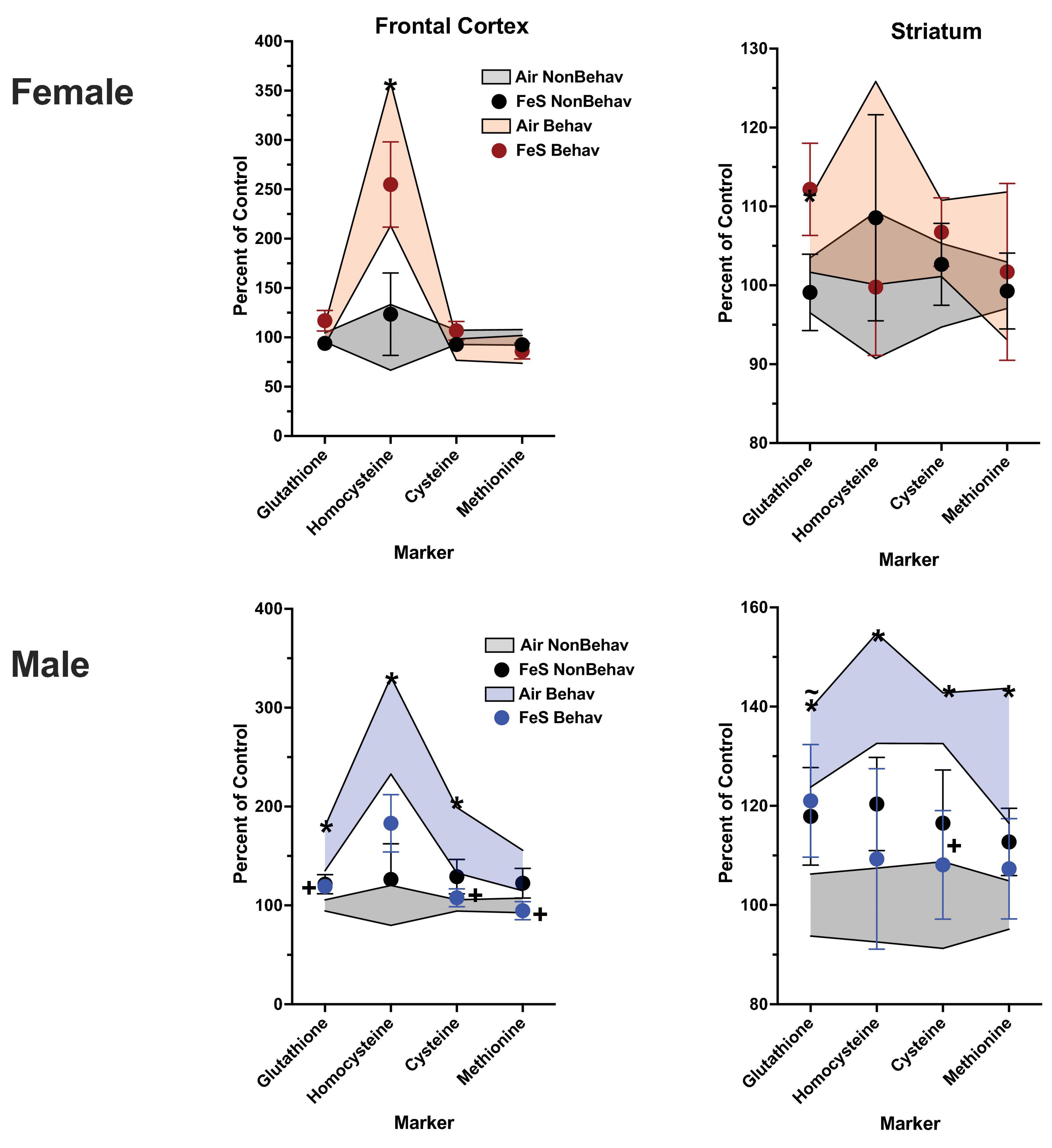 Graphs comparing four markers in the frontal cortex and striatum of female and male subjects. The markers are glutathione, homocysteine, cysteine, and methionine. Four conditions are shown: Air NonBehav, FeS NonBehav, Air Behav, and FeS Behav. Data is displayed as percent of control, with separate shaded areas representing each condition.