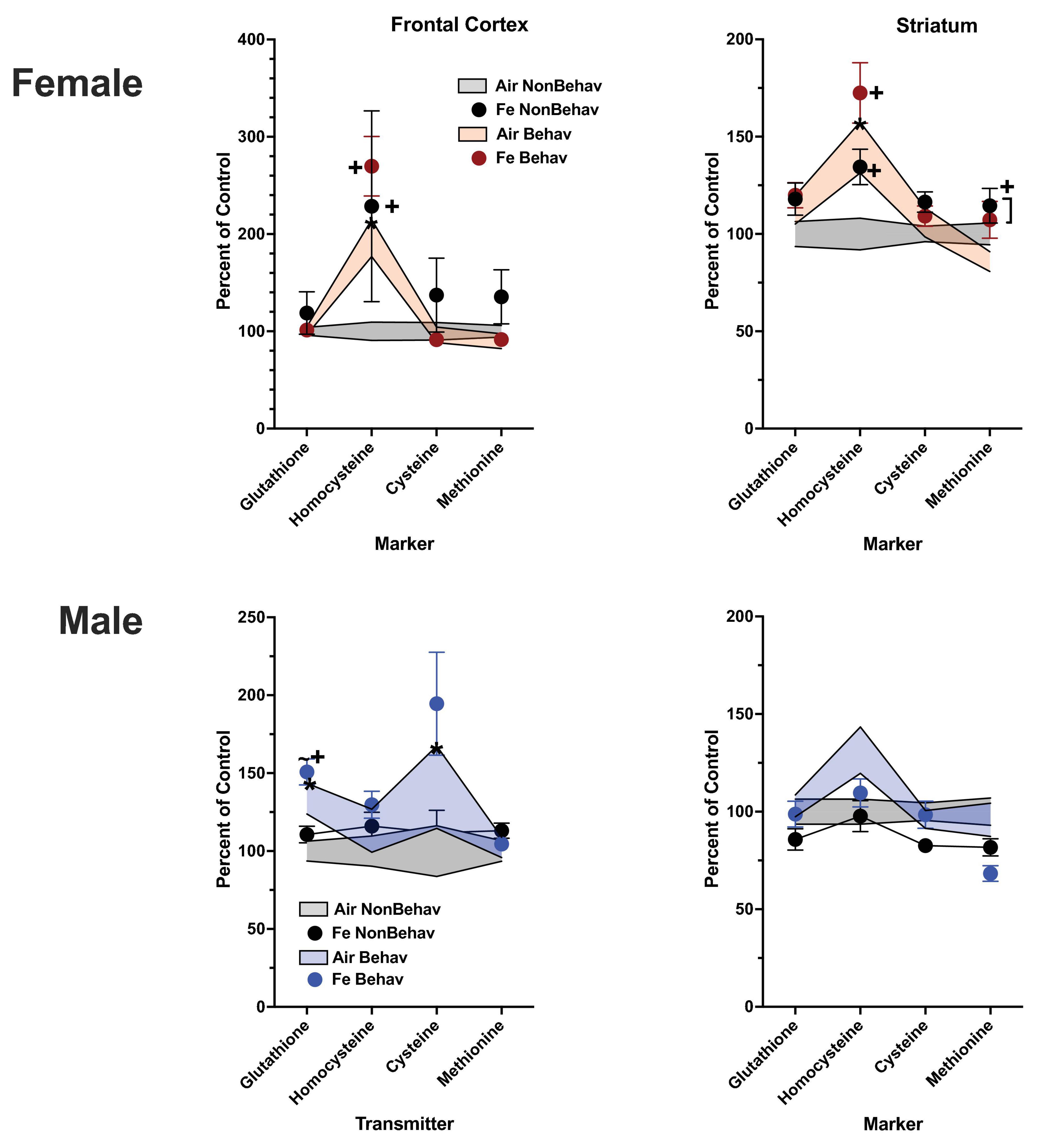 Line graphs compare four groups (Air NonBehav, Fe NonBehav, Air Behav, Fe Behav) in percent control for markers (Glutathione, Homocysteine, Cysteine, Methionine) in the frontal cortex and striatum for females, and in the same markers for males. Female graphs show higher variability, especially in the frontal cortex. Male graphs depict a more moderate variability. Each group is represented by different color-coded markers and lines.
