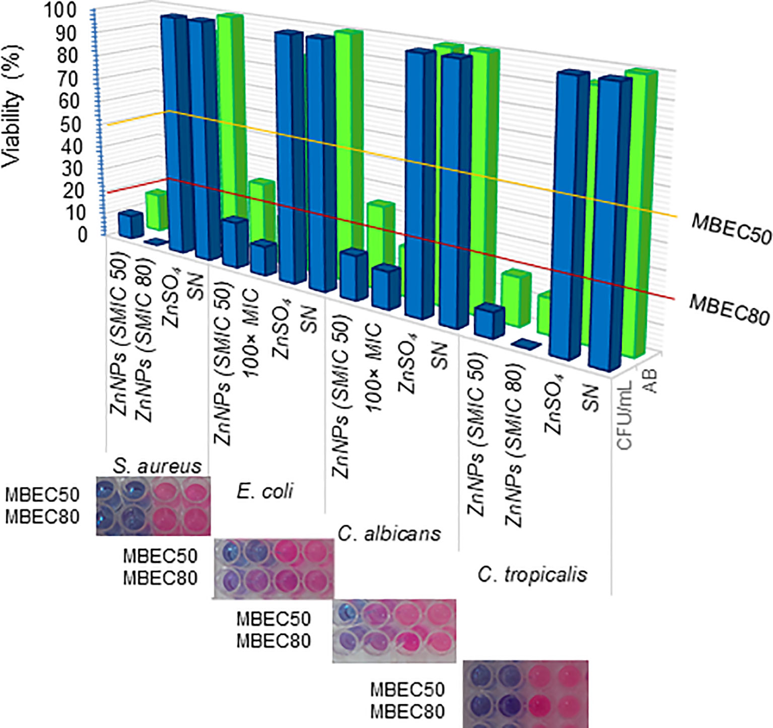 Bar graph comparing the viability percentages of different treatments on four microbial strains: S. aureus, E. coli, C. albicans, and C. tropicalis. Treatments include ZnNPs (at specific MIC values), ZnSO₄, SN, and others. Viability is categorized by MBEC50 and MBEC80 thresholds. Insets show colorimetric results in microtiter plates for each strain.