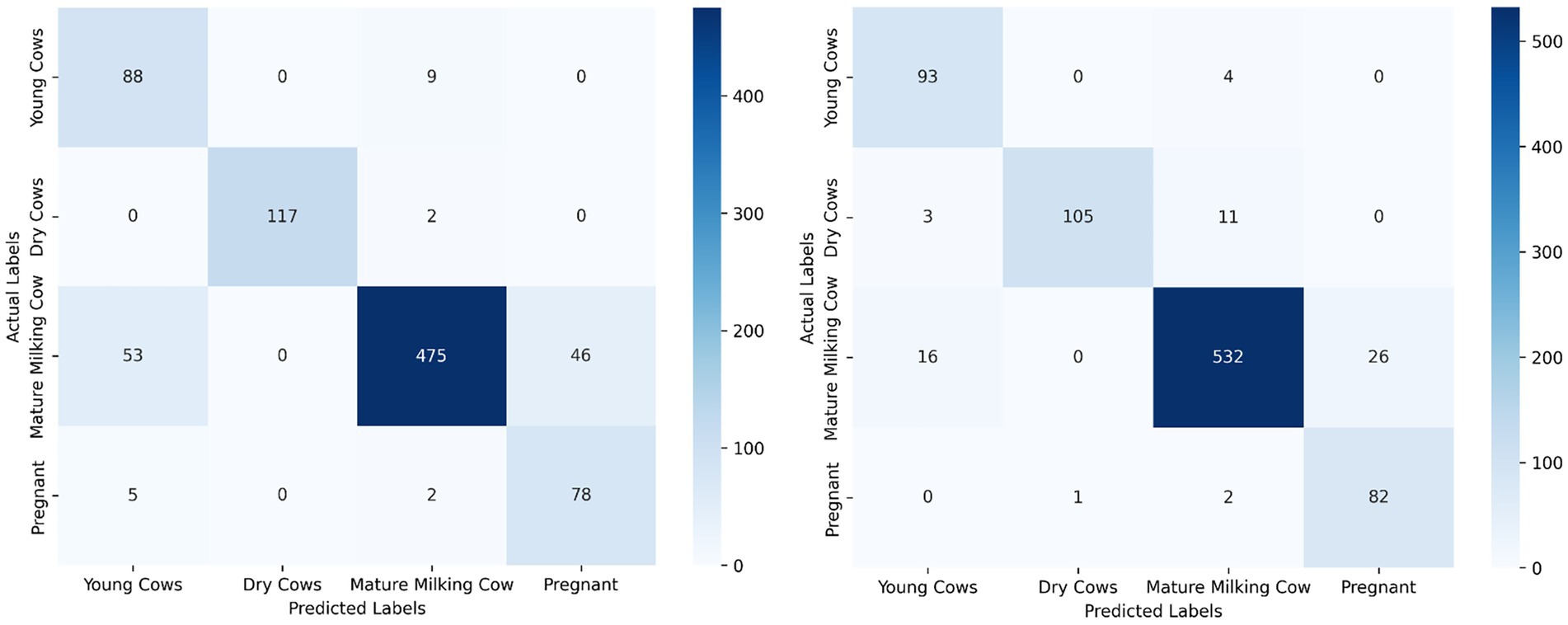 Two side-by-side confusion matrices for cow classification. Each matrix includes categories: Young Cows, Dry Cows, Mature Milking Cows, and Pregnant. The left matrix shows highest accuracy for Mature Milking Cows with 475; Young Cows are 88. The right matrix also shows highest accuracy for Mature Milking Cows with 532; Young Cows are 93. A color scale on the right indicates frequency, with dark blue for higher values.
