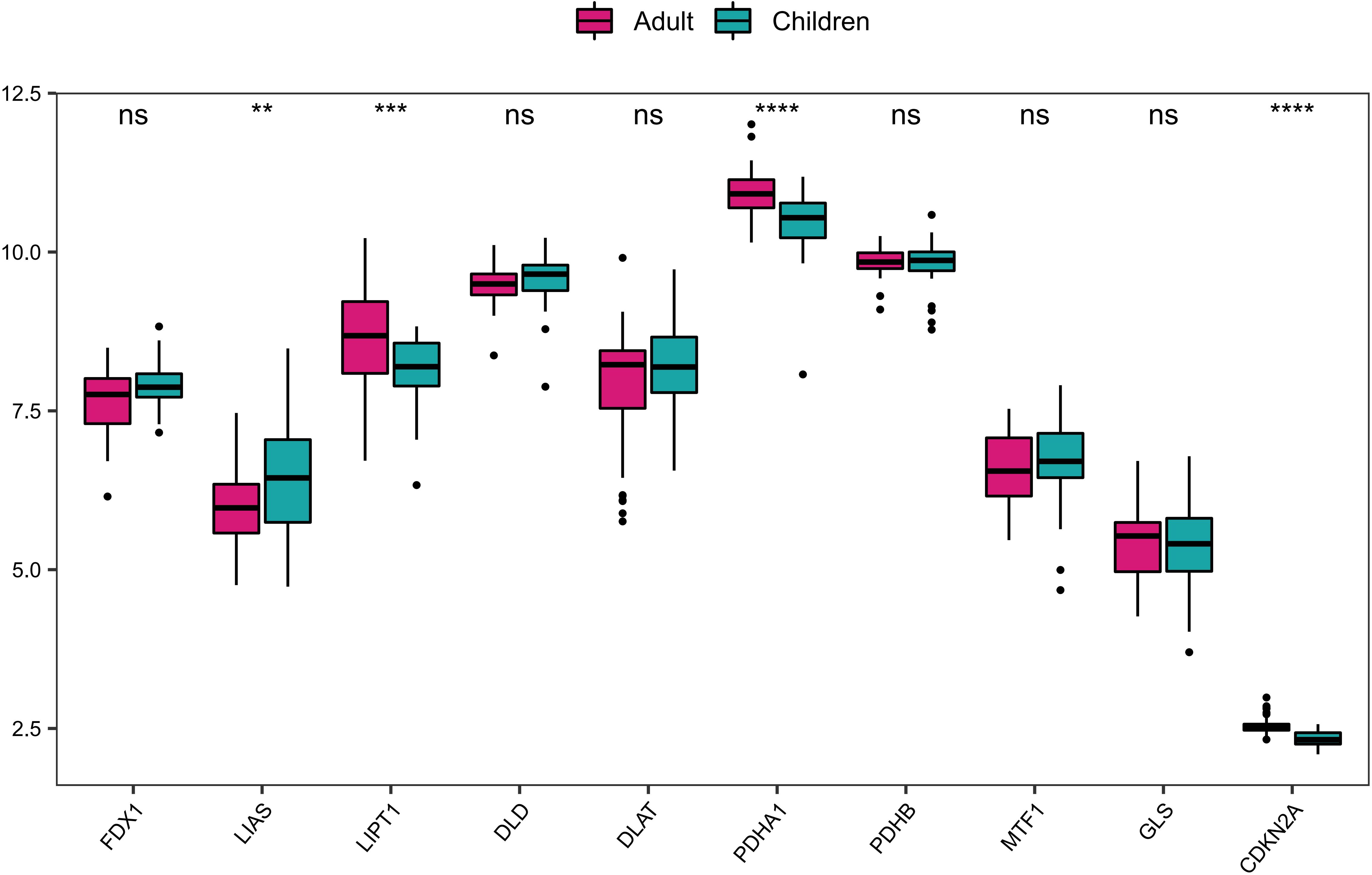 Box plot comparing expression levels of genes FDX1, LIAS, LIPT1, DLD, DLAT, PDHA1, PDHB, MTF1, GLS, and CDKN2A between adults (pink) and children (teal). Statistical significance is indicated with asterisks, and “ns” denotes no significant difference.
