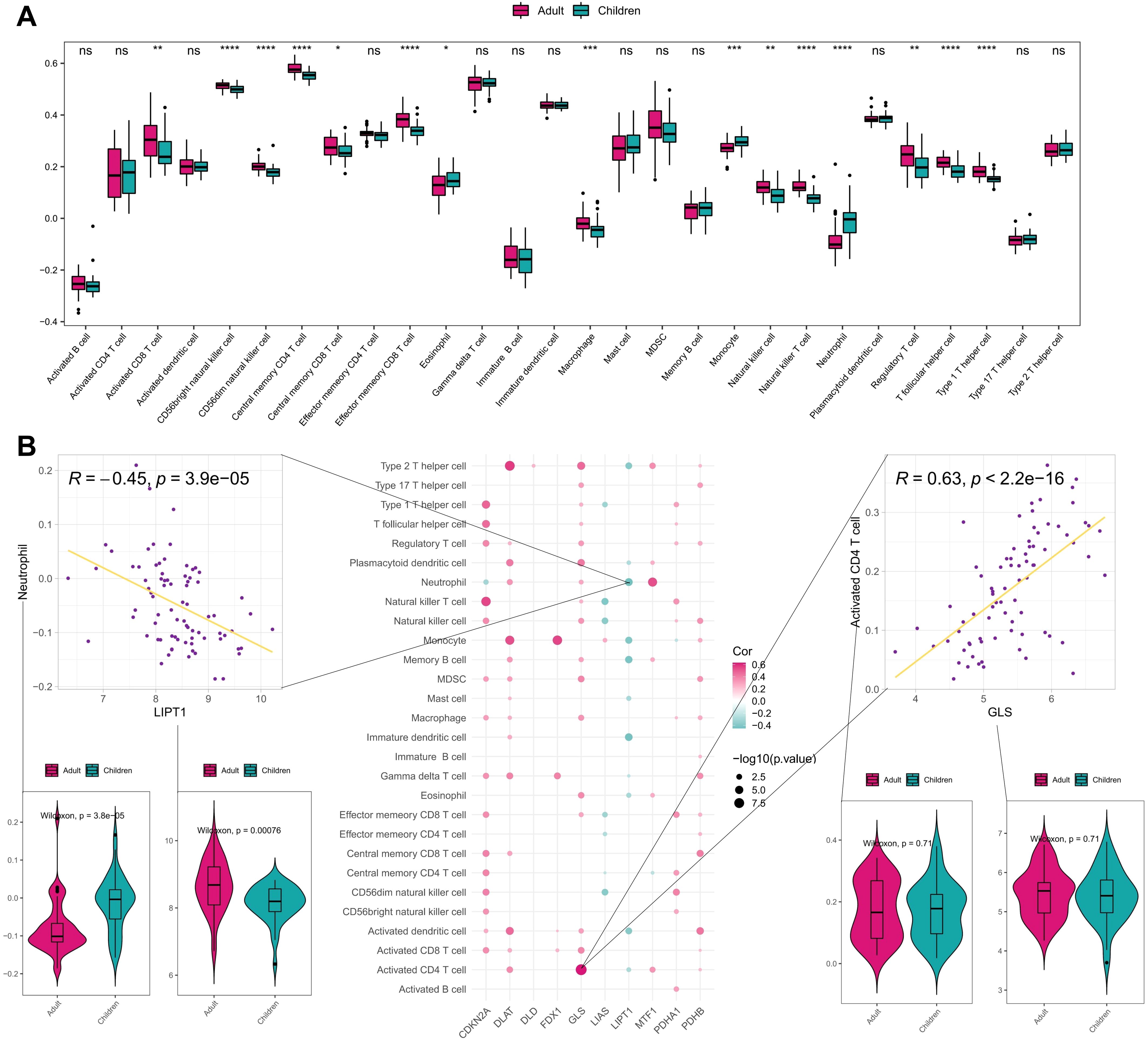 Panel A shows boxplots comparing immune cell populations between adults and children, using magenta for adults and cyan for children. Significant differences are marked with asterisks. Panel B consists of scatter plots and correlation matrices illustrating the association between gene expression and immune cell types, with color coding for correlation values. Violin plots show distribution differences between adults and children, with significance indicated by p-values.