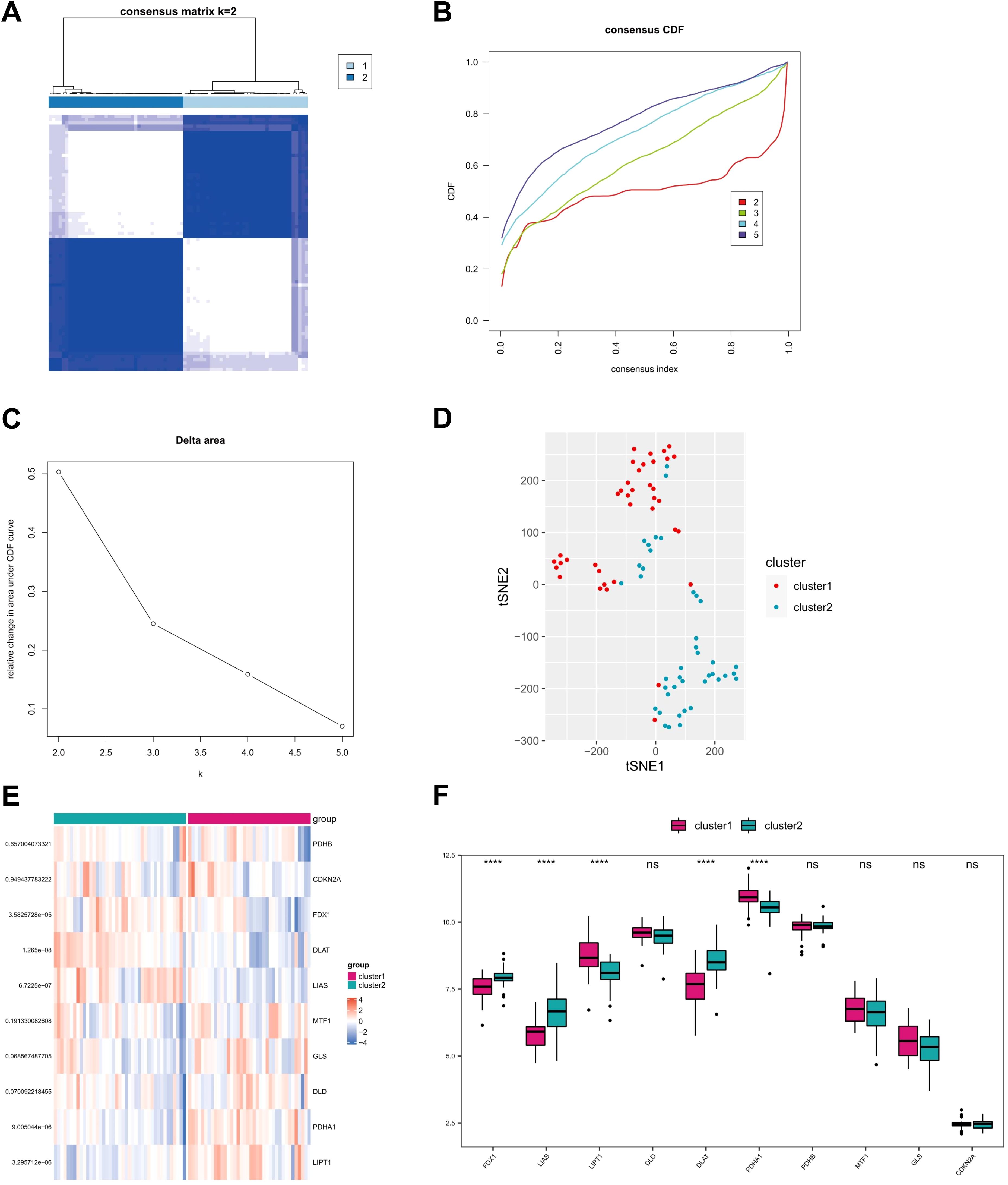 Panel A displays a consensus matrix heatmap for k equals 2, showing two distinct clusters. Panel B presents a consensus CDF plot with lines representing different cluster numbers. Panel C is a line graph showing the delta area plot across cluster counts. Panel D shows a t-SNE plot with two clusters, depicted in different colors. Panel E contains a heatmap illustrating expression levels of genes across two clusters. Panel F is a box plot comparing gene expression between two clusters for multiple genes, with significance indicated.