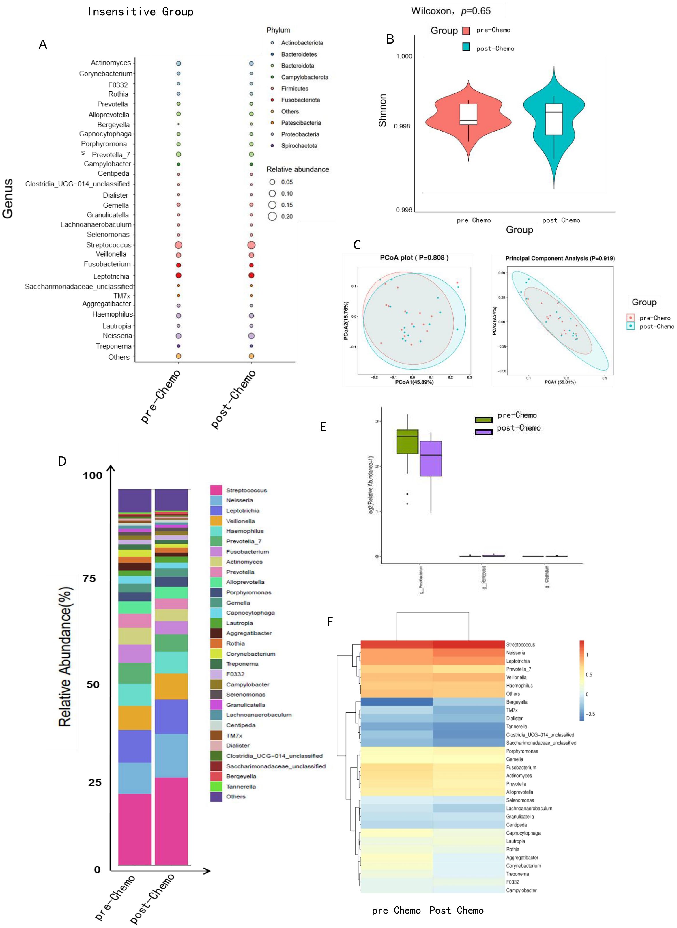 Analysis of microbiome composition in an insensitive group pre- and post-chemotherapy. Panel A shows a dot plot of genus abundance, with size indicating relative abundance across different phyla. Panel B presents violin plots comparing Shannon diversity pre- and post-chemotherapy, showing no significant difference. Panel C includes PCoA and PCA plots, displaying clustering of samples with no distinct separation. Panel D illustrates a stacked bar chart of relative abundance percentages, highlighting genus composition. Panel E features a box plot of logarithmic genus fold changes. Panel F displays a heatmap of genus abundance, with color indicating varying levels.