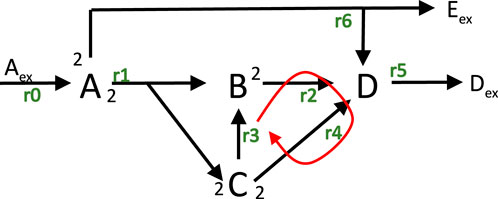 Diagram depicting a cyclic metabolic pathway with compounds A, B, C, and D. Arrows indicate the direction of reactions: \( r0 \) through \( r6 \), with \( r2 \) and \( r4 \) forming a loop. Reactions \( r0 \), \( r1 \), \( r3 \), \( r5 \), and \( r6 \) move sequentially through the pathway, while \( r2 \) and \( r4 \) are repeated.