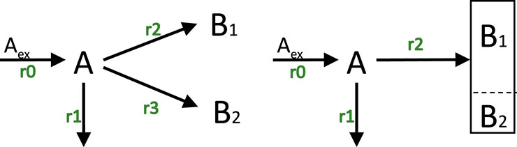 Diagram showing a process flow with arrows labeled \(A_{ex}\), \(r0\), \(r1\), \(r2\), and \(r3\), connecting points \(A\), \(B1\), and \(B2\). The left side has multiple paths from \(A\) to \(B1\) and \(B2\), while the right has a sequential pathway leading to a boxed area containing \(B1\) and \(B2\).