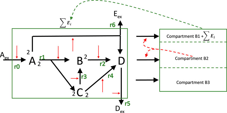 Diagram showing a flow chart with labeled compartments A, B, C, and D interconnected by arrows. External components \(A_{ex}\) and \(D_{ex}\) feed into the system. Arrows denote transitions \(r0\) to \(r6\), and outputs lead to compartments B1, B2, and B3 on the right. Many arrows have numeric labels, and some arrows are dashed or colored red, indicating potential differences in flow or action.