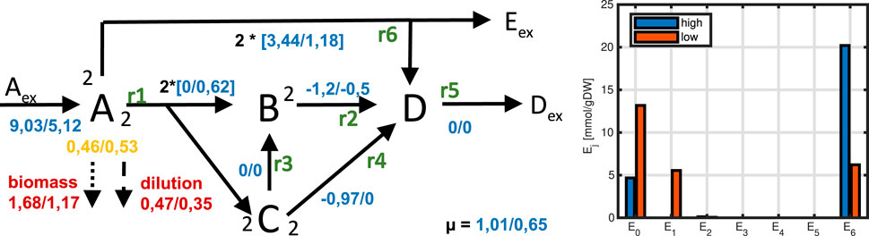 Diagram of a biochemical pathway with nodes labeled A_ex, A_2, B, C_2, and D interconnected by arrows. Each arrow is marked with reaction rates (r1 to r6) and numerical values. Text in various colors indicates parameters like biomass and dilution. A bar graph on the right shows enzyme activity (E0 to E6) with blue and red bars for high and low conditions, respectively.