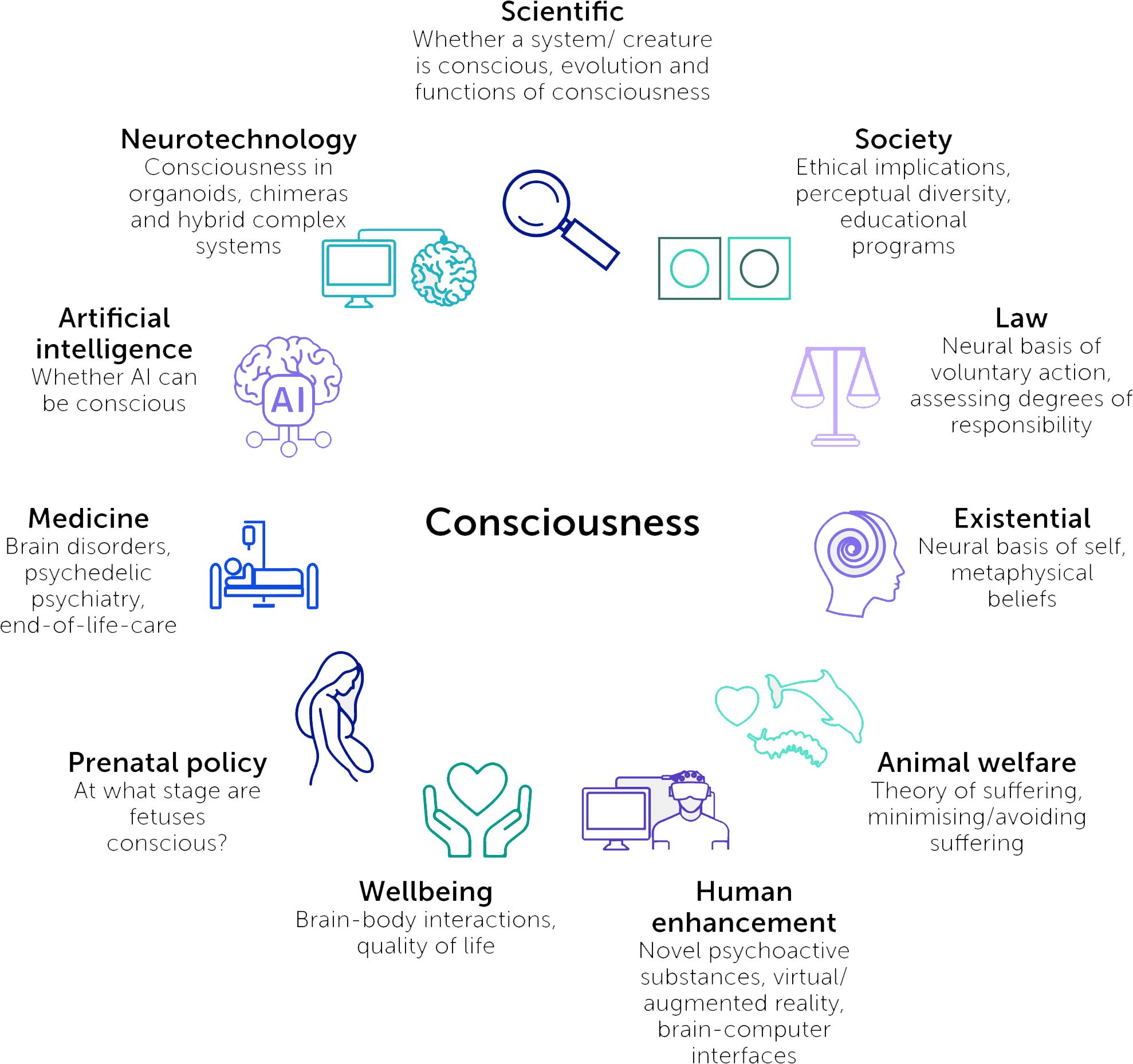 Diagram illustrating various aspects of consciousness with a central circle labeled “Consciousness.” Surrounding areas include Scientific, Society, Law, Existential, Animal welfare, Human enhancement, Wellbeing, Prenatal policy, Medicine, Artificial intelligence, and Neurotechnology. Each area includes brief descriptions, such as ethical implications, neural basis of self, AI consciousness, and brain-body interactions. Icons accompany each category.