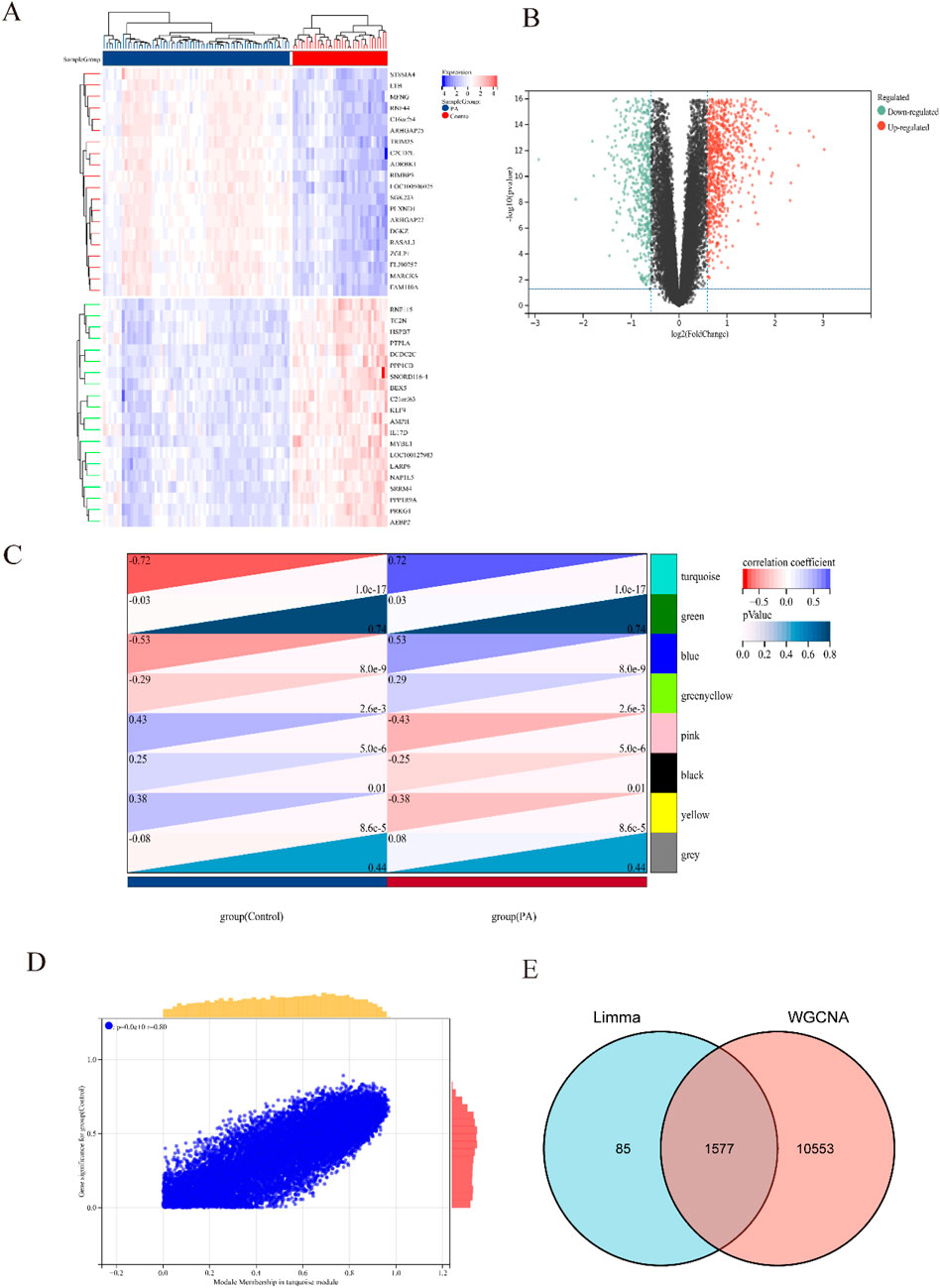 Panel A shows a heatmap illustrating gene expression with hierarchical clustering. Panel B is a volcano plot displaying log2 fold change versus significance, highlighting upregulated and downregulated genes. Panel C is an alluvial plot showing correlation changes across groups with a color gradient representing correlation coefficients and significance. Panel D is a scatter plot of gene significance versus module membership. Panel E presents a Venn diagram comparing gene overlap between Limma and WGCNA analyses, with 1,577 shared genes.