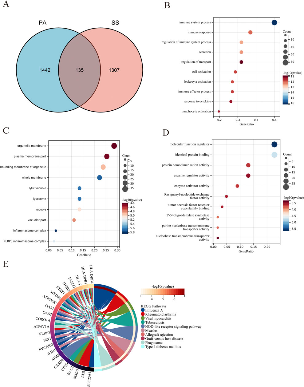 A set of five images include:A. A Venn diagram comparing PA and SS groups with 1442 unique to PA, 1307 unique to SS, and 135 common to both.B. A dot plot displaying gene ontology terms related to immune processes and activation. The dot size represents count, and color indicates significance level.C. A dot plot displaying ontology terms related to cellular components like membranes and complexes, with dot size for count and color for significance.D. Another dot plot similar to B, focusing on immune-related gene ontology terms.E. A circular diagram connecting KEGG pathways such as Influenza A and Rheumatoid arthritis with specific genes, colored by significance.