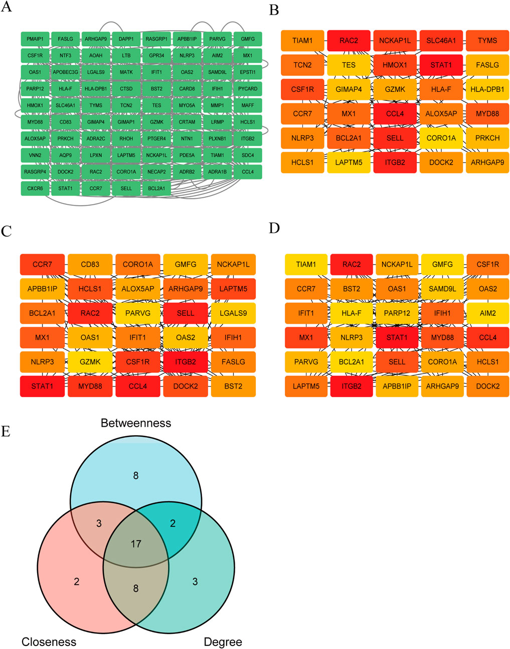 Diagram of gene interaction networks in four panels (A-D) and a Venn diagram (E). A-D show colored boxes representing different genes with connecting lines indicating interactions. Colors range from green to red. Panel E features a Venn diagram with three overlapping circles labeled Betweenness, Closeness, and Degree, with numbers indicating shared and unique intersections.