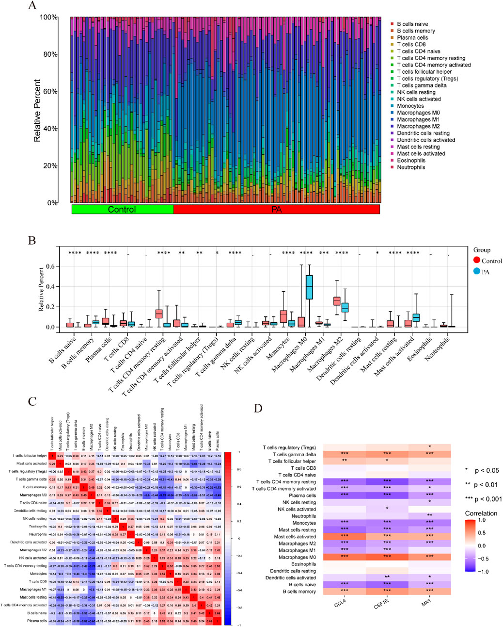 Panel A shows a stacked bar chart comparing immune cell types between control and PA groups, with various colors representing different cell types. Panel B is a box plot of relative percentages of each cell type in both groups. Panel C is a correlation matrix heatmap showing relationships between immune cell types. Panel D is a heatmap displaying correlations of specific markers with cell types, with significance levels indicated by asterisks.