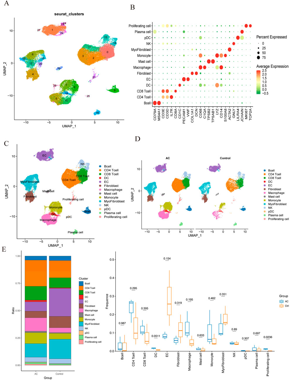 Graphical analysis of cell clusters using UMAP and statistical plots. (A) UMAP plot depicting seurat clusters of various cell types. (B) Dot plot showing gene expression by cell type, with color and size indicating expression level and percentage, respectively. (C) UMAP plot with cell type legend. (D) Comparative UMAP plot of AC and control groups, highlighting differences. (E) Bar and box plots illustrating cell type ratios and frequencies between AC and control groups, with noted statistical values.