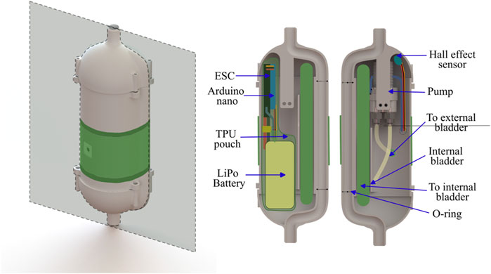 Cutaway diagram of a pod compartment showing components such as an ESC, Arduino Nano, TPU pouch, and LiPo battery. It includes labels for the Hall effect sensor, pump, external and internal bladders, and O-ring, illustrating their arrangement inside the device.