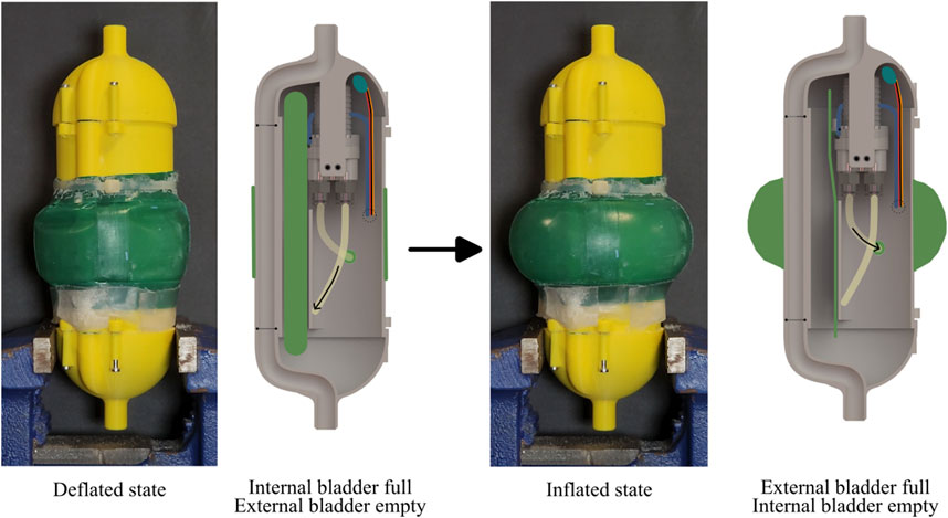Diagram showing a device in deflated and inflated states. The left image shows the device deflated with the internal bladder full and the external bladder empty. The right image shows the device inflated with the external bladder full and the internal bladder empty. Illustrations in the center detail bladder and circuitry positions.