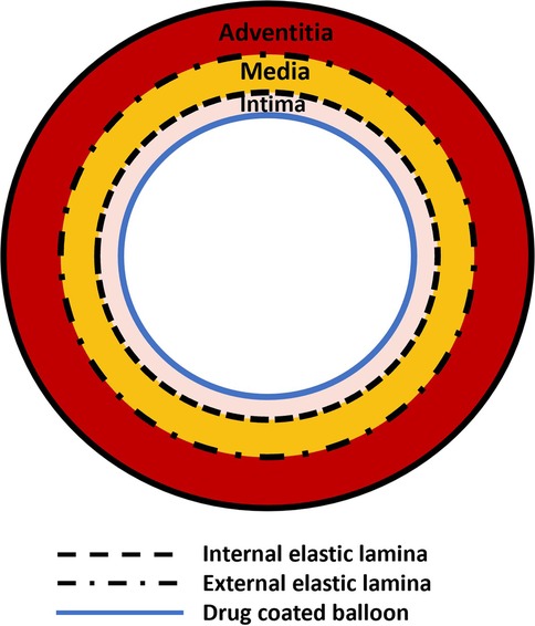 www.frontiersin.org