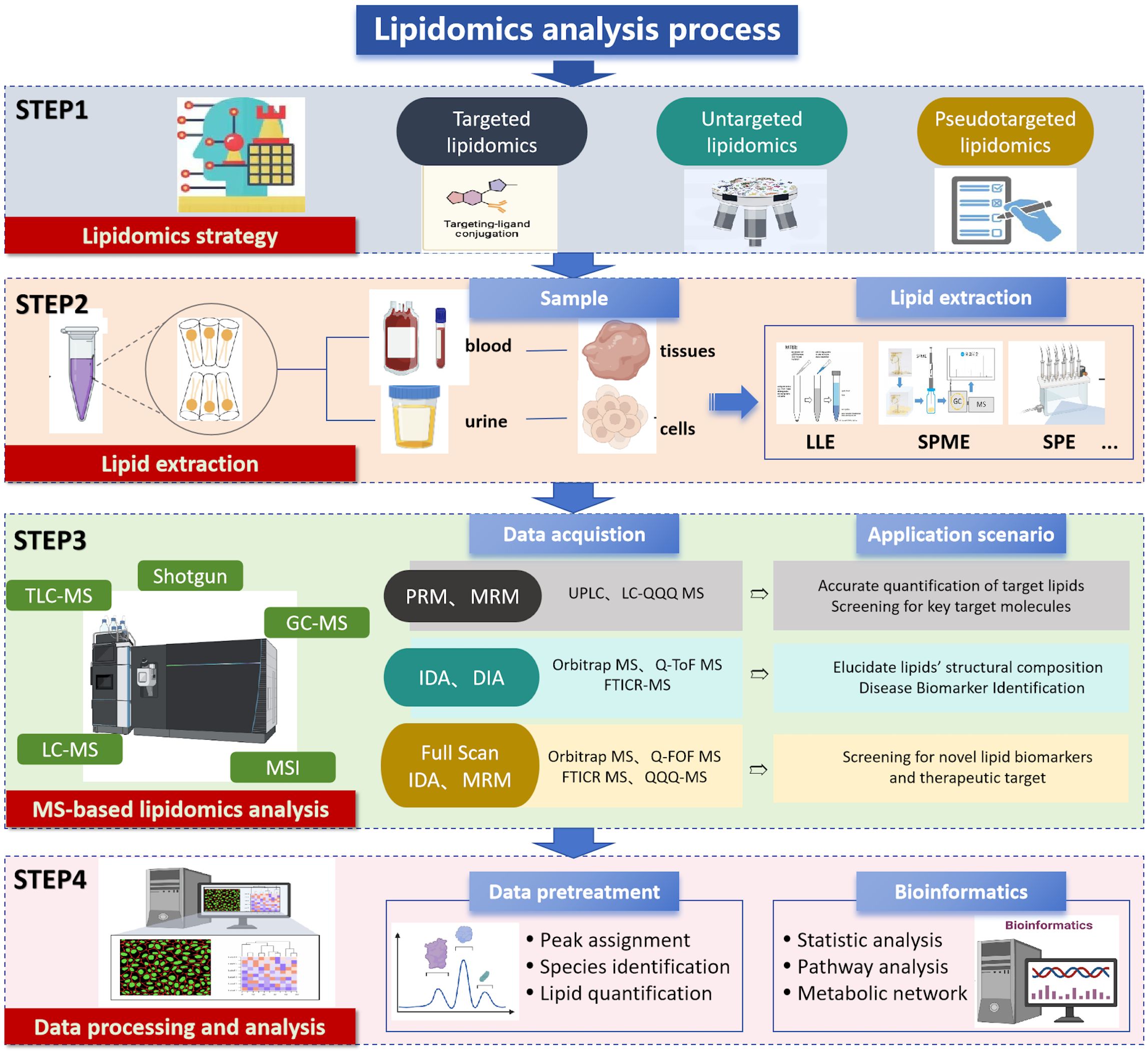 Flowchart illustrating the lipidomics analysis process. Step 1 involves lipidomics strategy with targeted, untargeted, and pseudotargeted lipidomics. Step 2 focuses on lipid extraction from blood, urine, tissues, and cells using LLE, SPME, and SPE. Step 3 covers MS-based lipidomics analysis using TLC-MS, GC-MS, LC-MS, and MSI with data acquisition methods including PRM, MRM, and DIA, applied for accurate lipid quantification and biomarker identification. Step 4 involves data processing and analysis with peak assignment, species identification, and bioinformatics for statistical and pathway analysis.