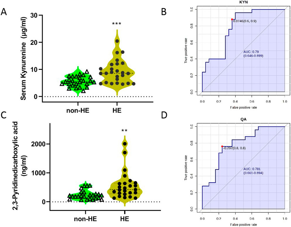 Violin plots and ROC curves showing metabolite levels and diagnostic performance. Panel A shows serum Kynurenine levels in non-HE and HE groups, with higher levels in HE. Panel B presents the ROC curve for KYN with an AUC of 0.79. Panel C depicts 2,3-Pyridinedicarboxylic acid levels, also elevated in HE. Panel D displays the ROC curve for QA with an AUC of 0.781. Statistical significance is indicated by asterisks.