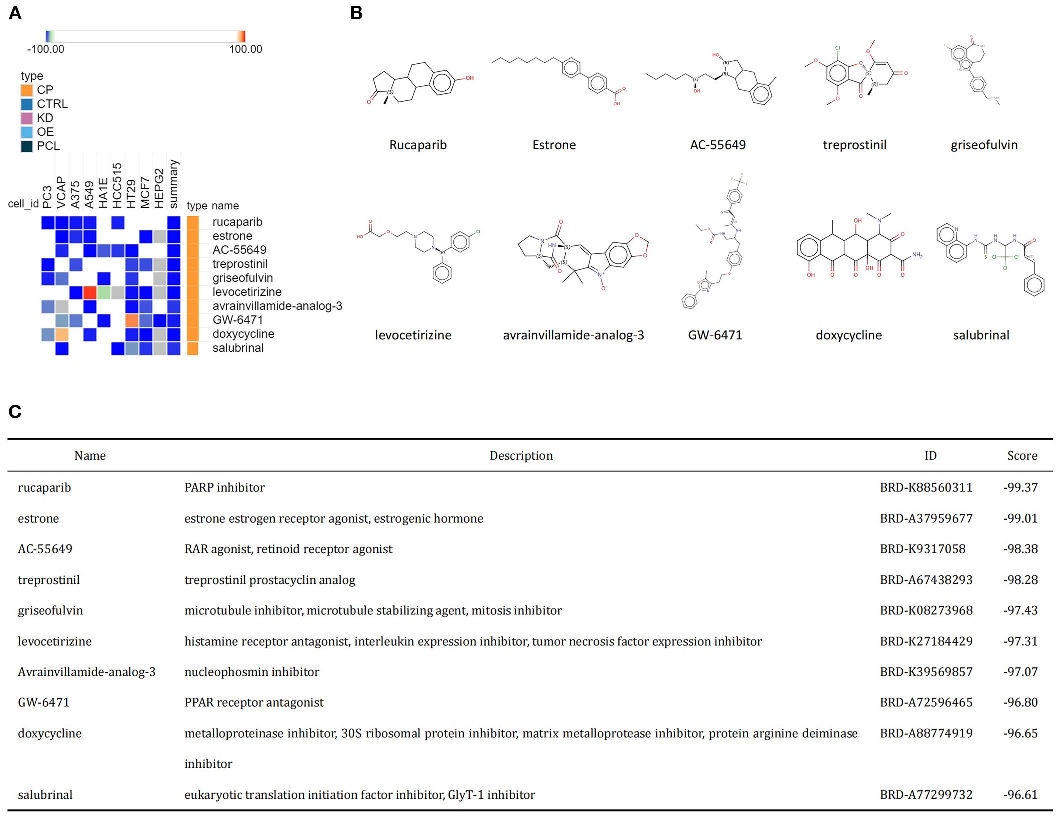 (A) A heatmap displays the impact of various compounds on different cell lines, with color coding representing types and effects from -100 to 100. (B) Structural diagrams of ten compounds: Rucaparib, Estrone, AC-55649, Treprostinil, Griseofulvin, Levocetirizine, Avrainvillamide-analog-3, GW-6471, Doxycycline, and Salubrinal. (C) A table describes each compound's name, function, ID, and score, detailing their roles such as PARP inhibitor or estrogen receptor agonist, with scores ranging between -99.37 to -96.61.